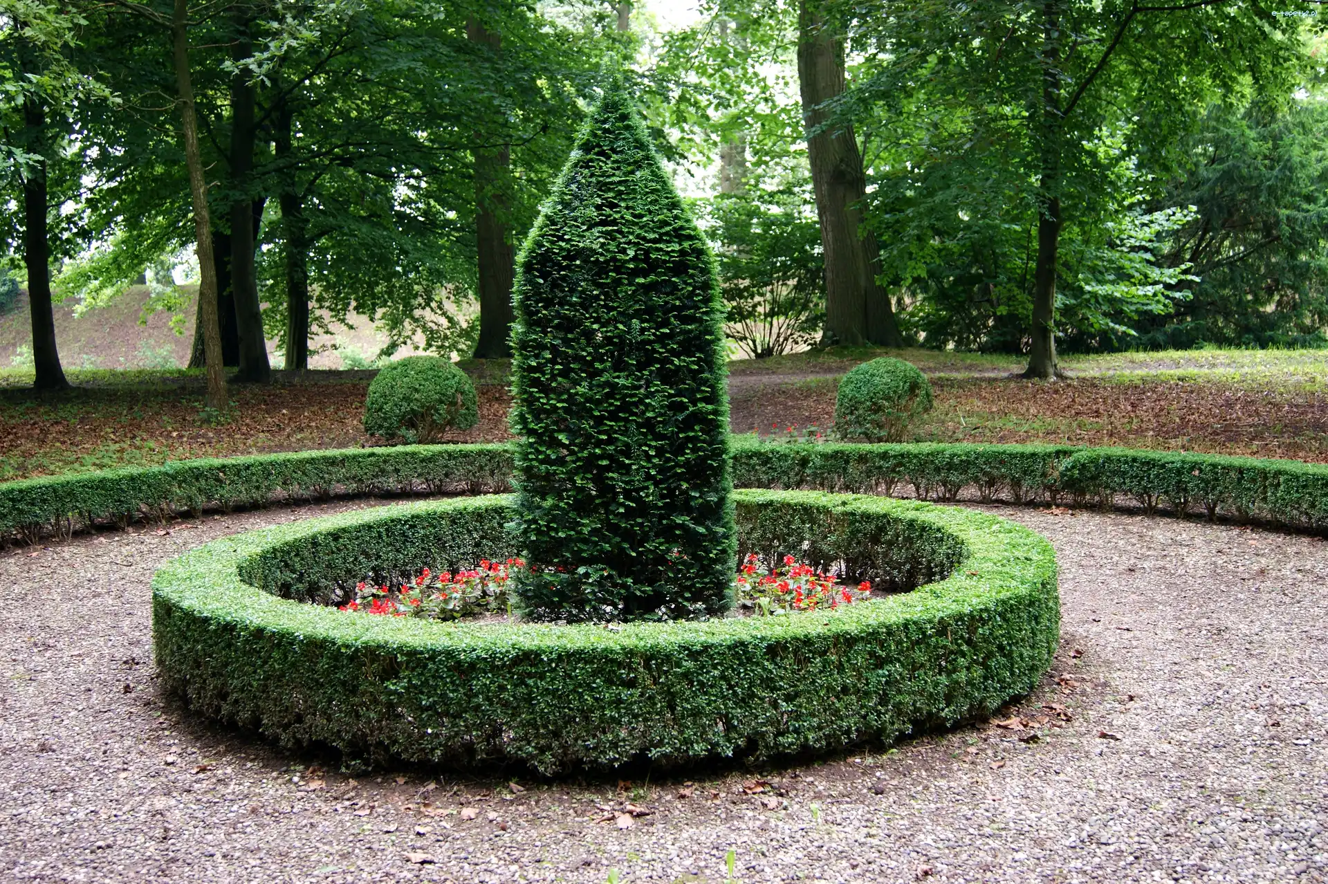 Ozdobne, Krzewy, Park