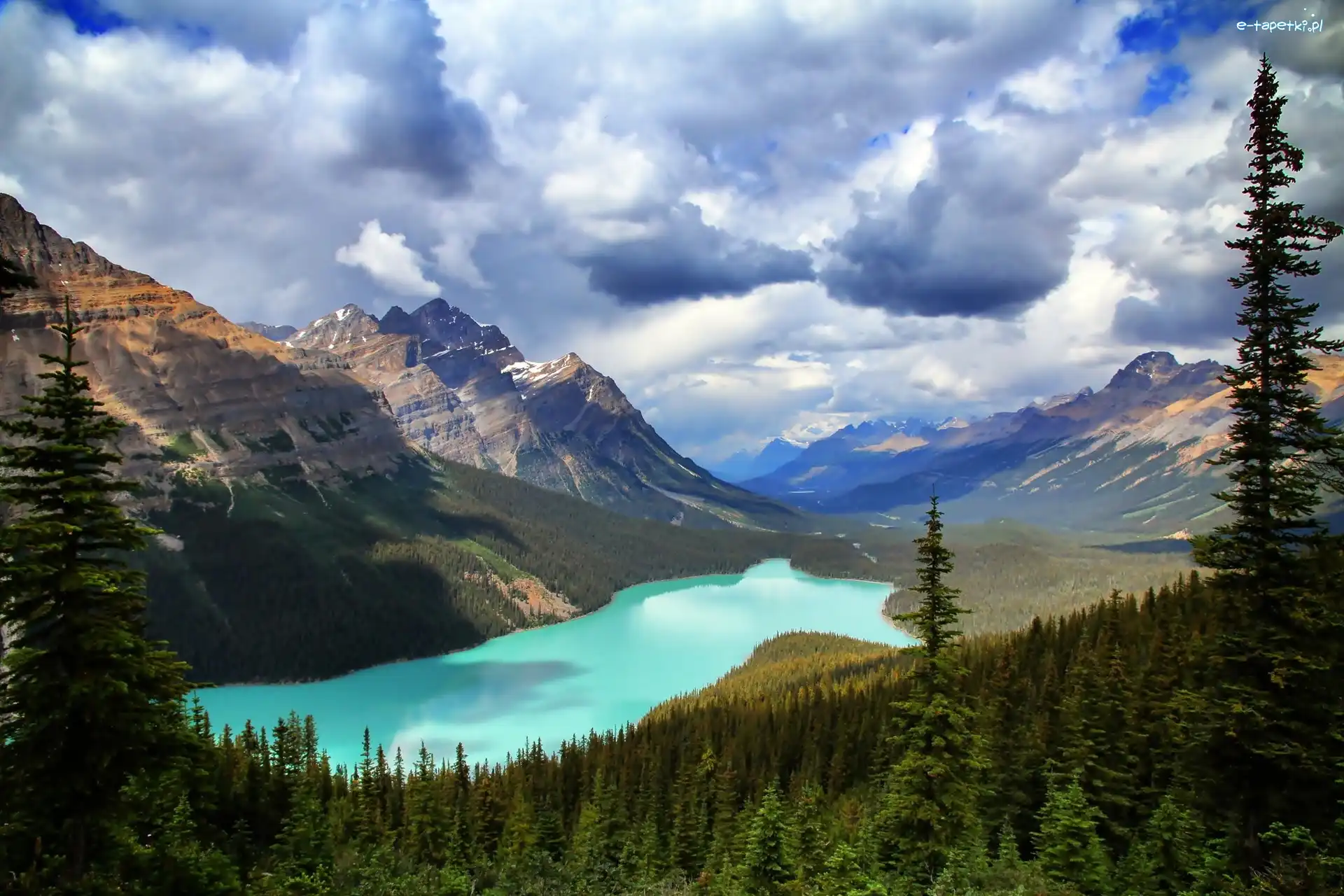 Kanada, Park Narodowy Banff, Prowincja Alberta, Las, Jezioro Peyto Lake, Góry