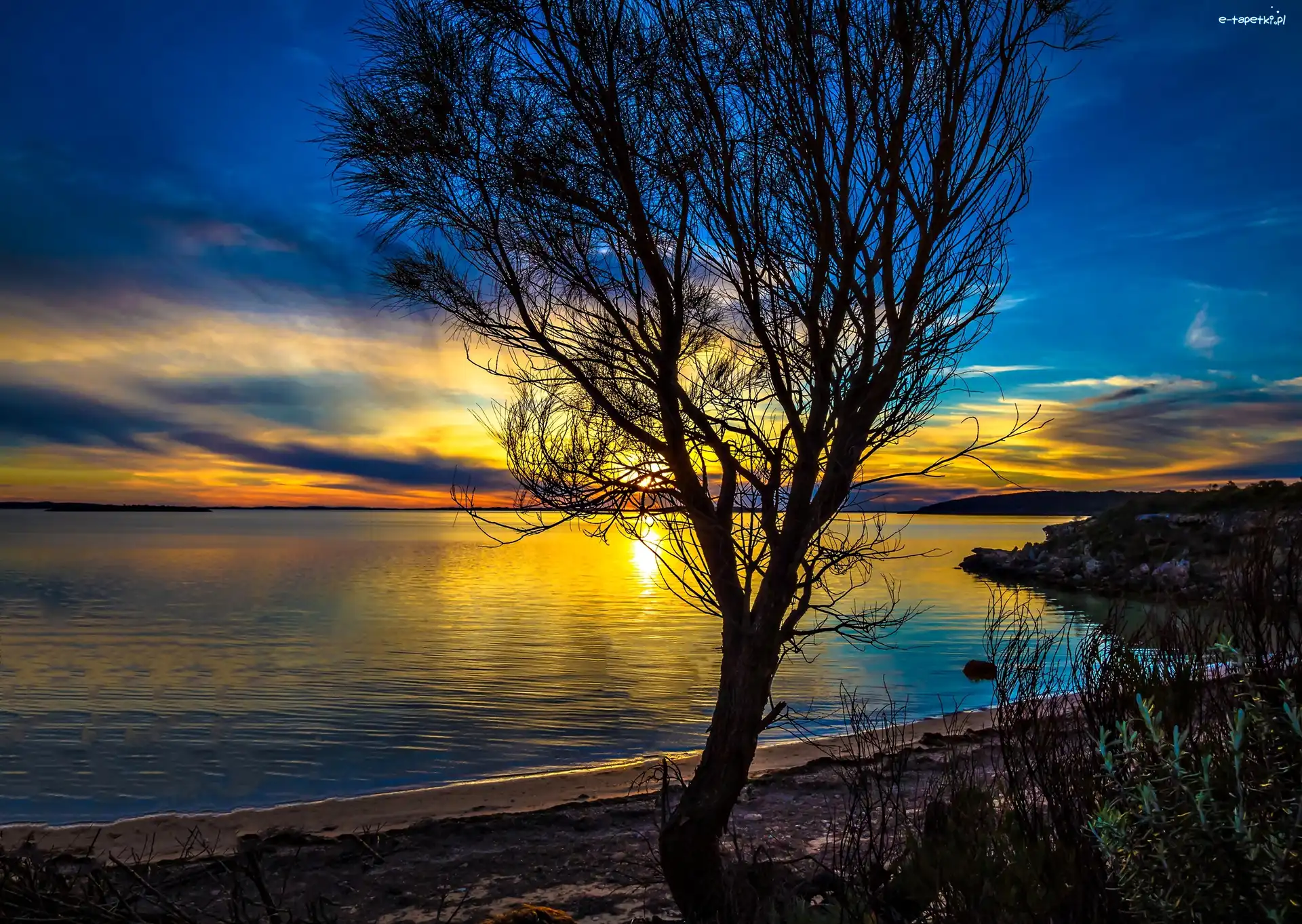 Australia, Drzewo, Zachód Słońca