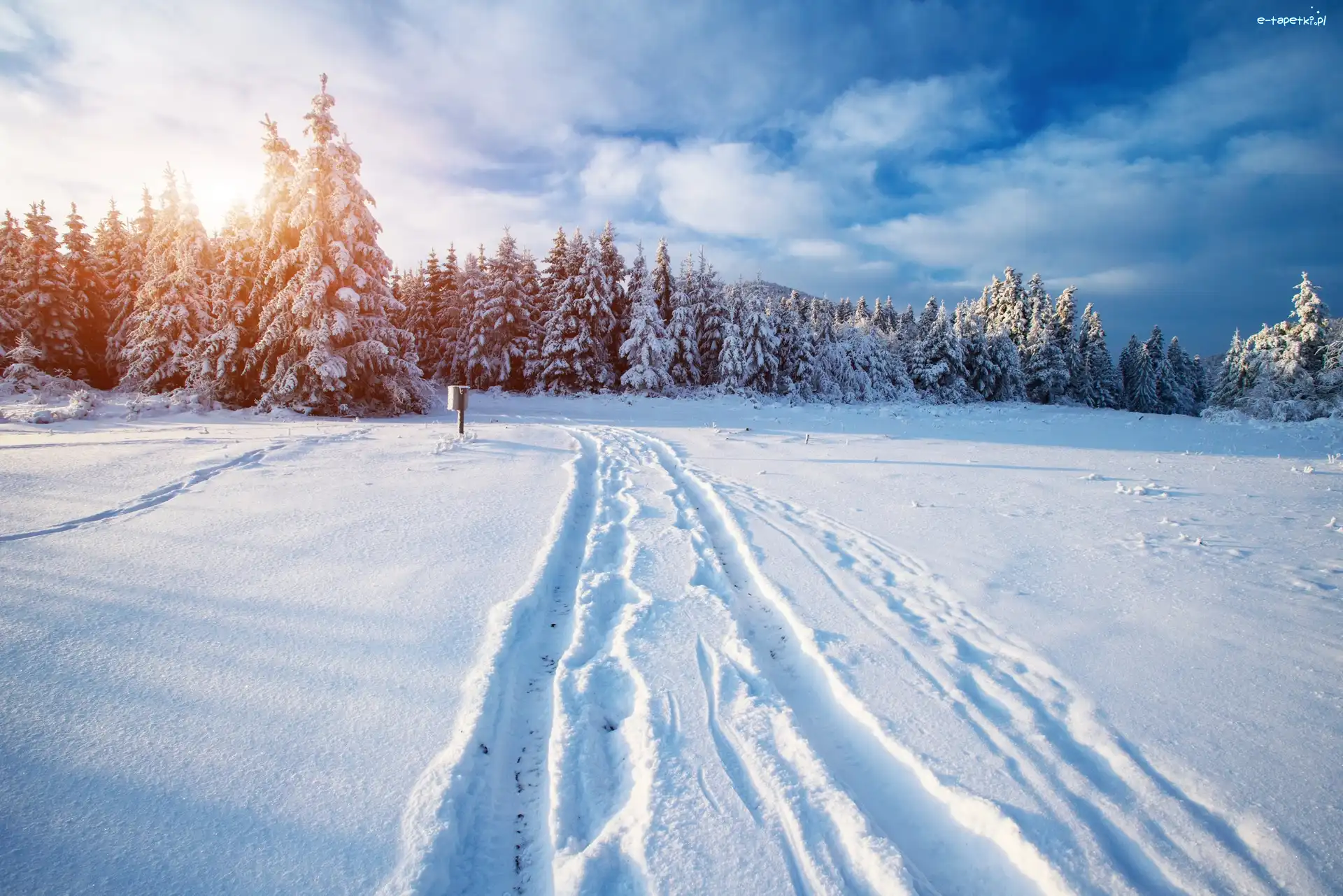 Śnieg, Wschód słońca, Las, Zima