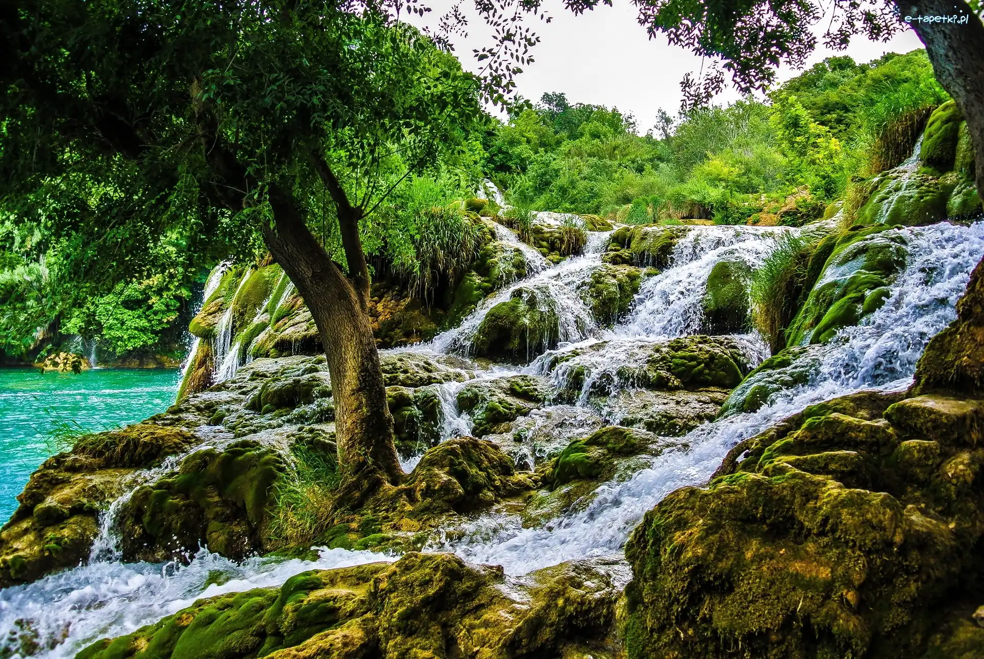 Chorwacja, Wodospad, Park