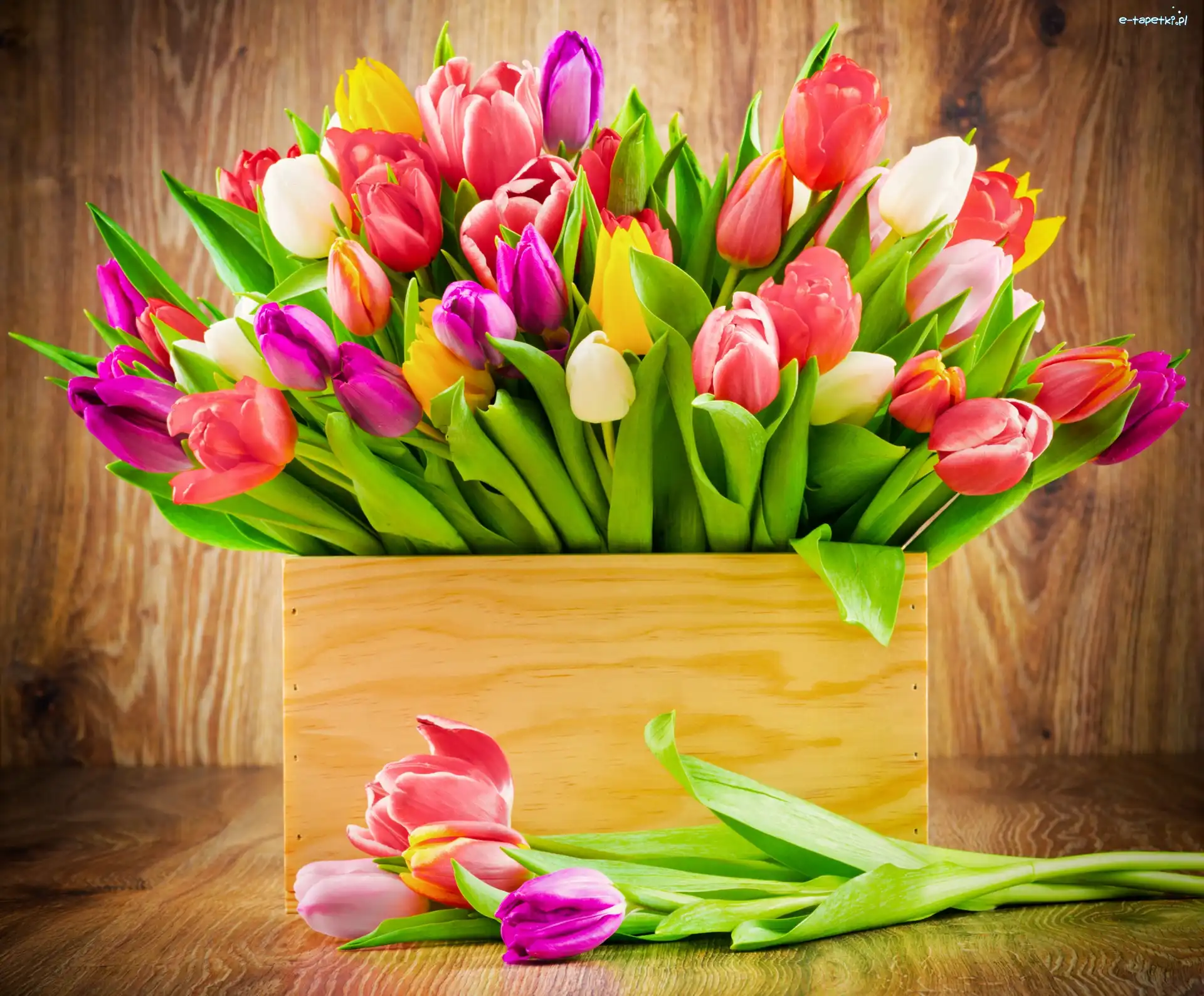 Kwiaty, Tulipany