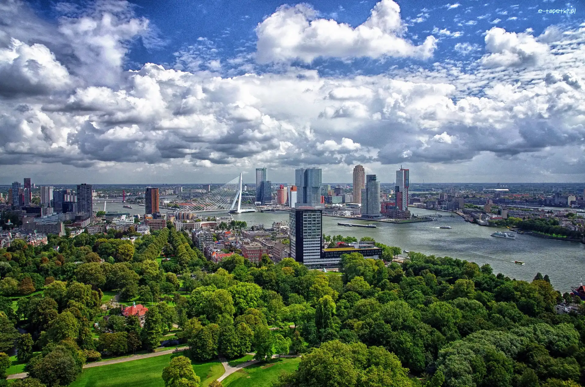 Miasto, Holandia, Rotterdam