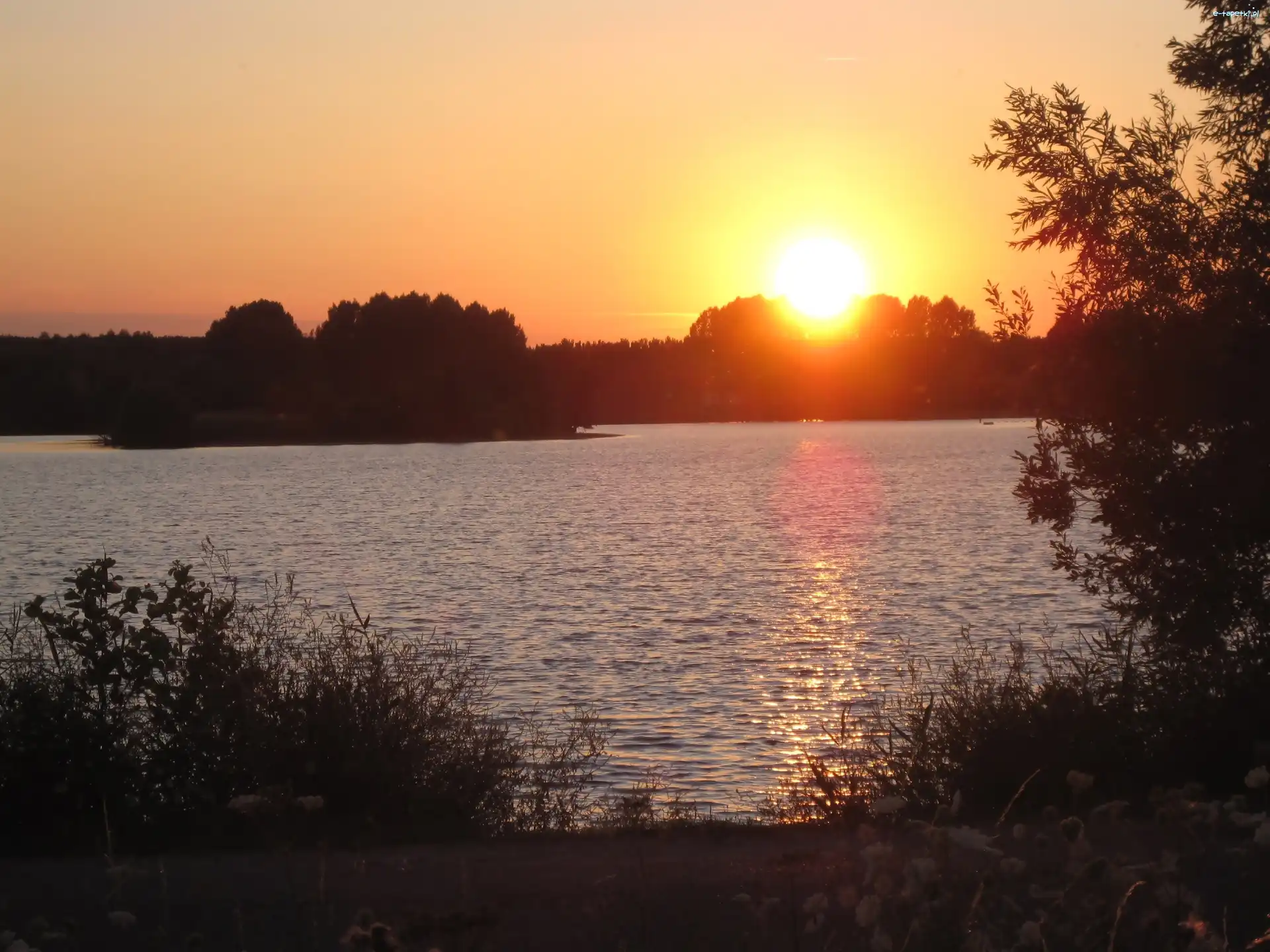 Drzewa, Wschód słońca, Jezioro