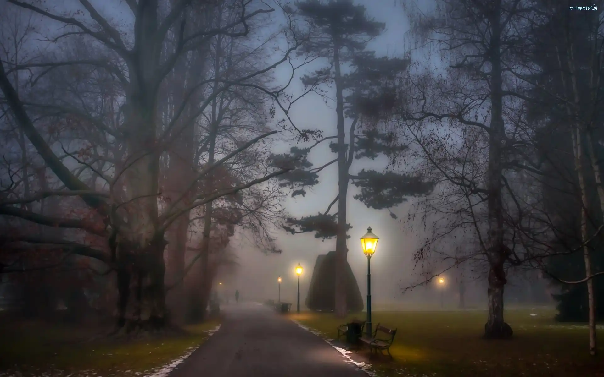 Park, Wieczór, Aleja, Mgła, Latarnie