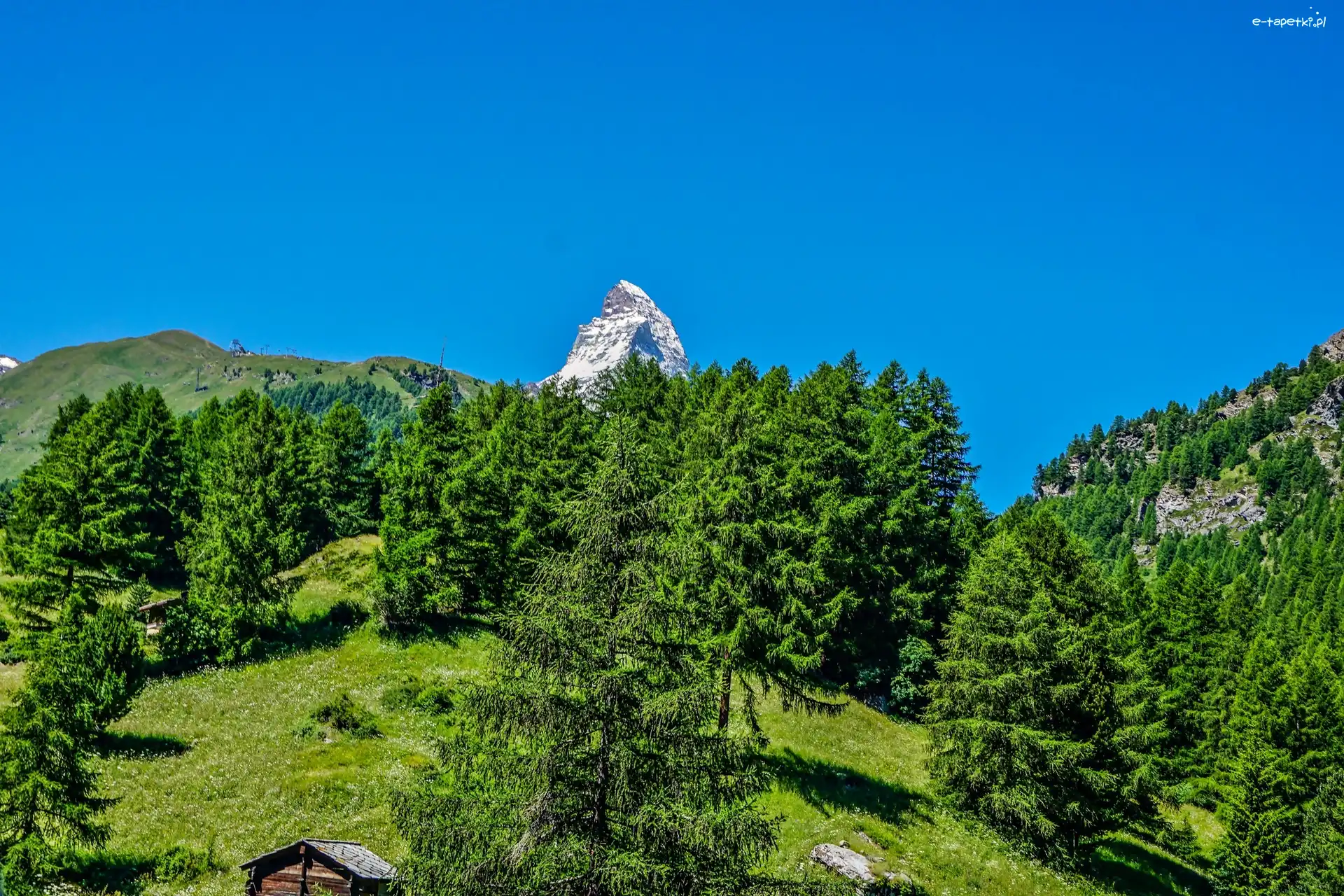 Szwajcaria, Łąka, Szopy, Las, Góry, Matterhorn, Szczyt