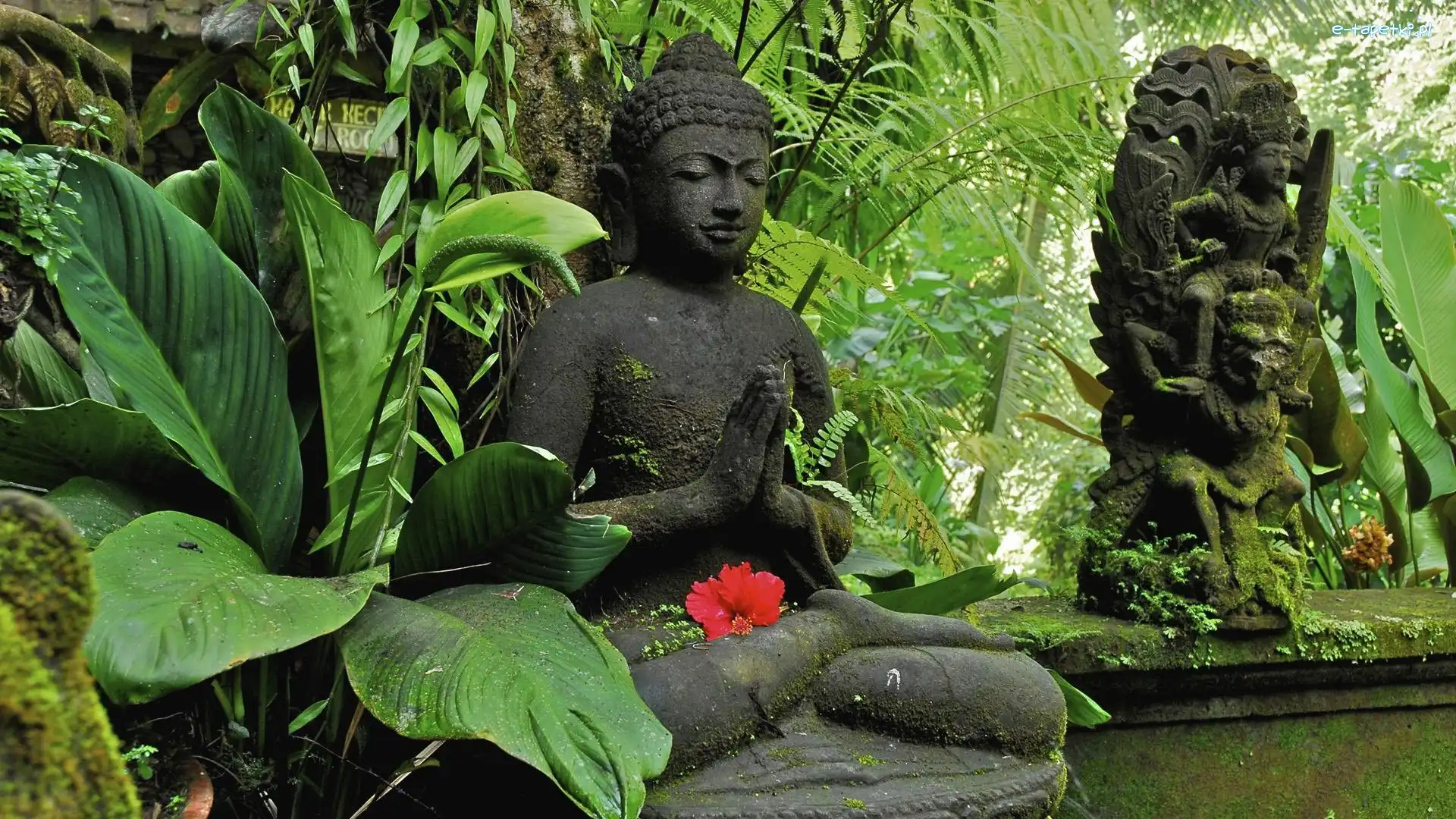 Posągi, Budda, Indonezja