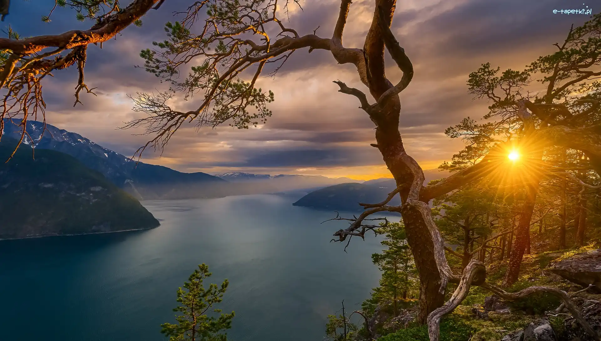 Fiord, Drzewa, Norwegia, Promienie Słońca