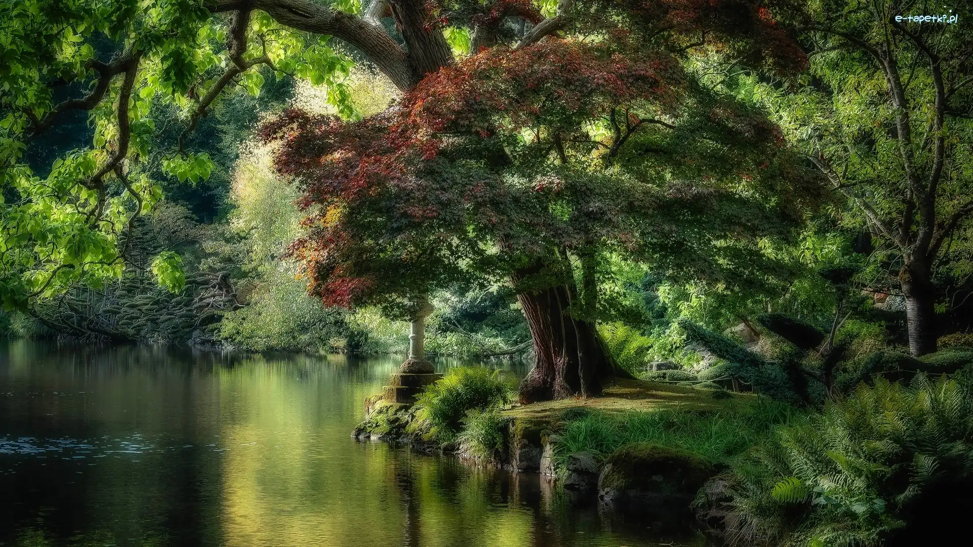 Staw, HDR, Drzewa, Park