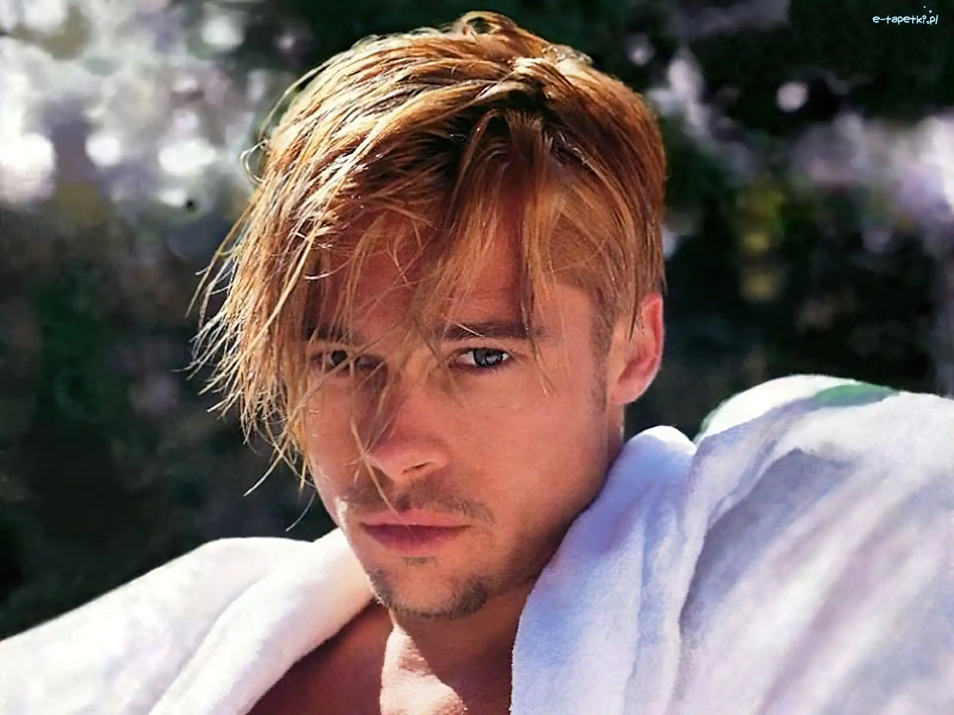 włosy, blond, Brad Pitt