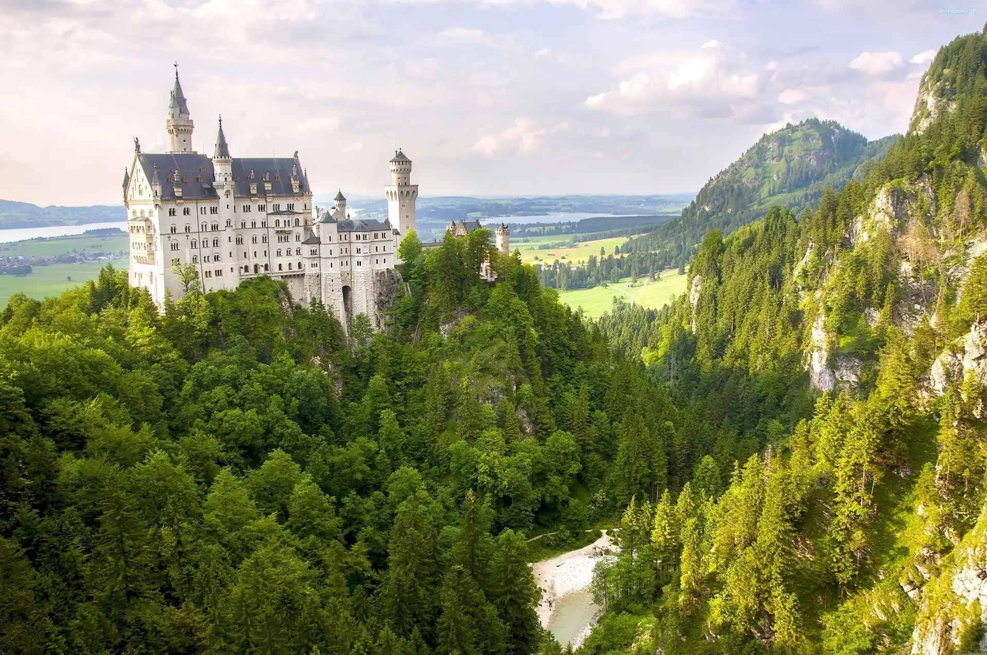 Lasy, Zamek Neuschwanstein, Skały, Drzewa, Bawaria, Niemcy