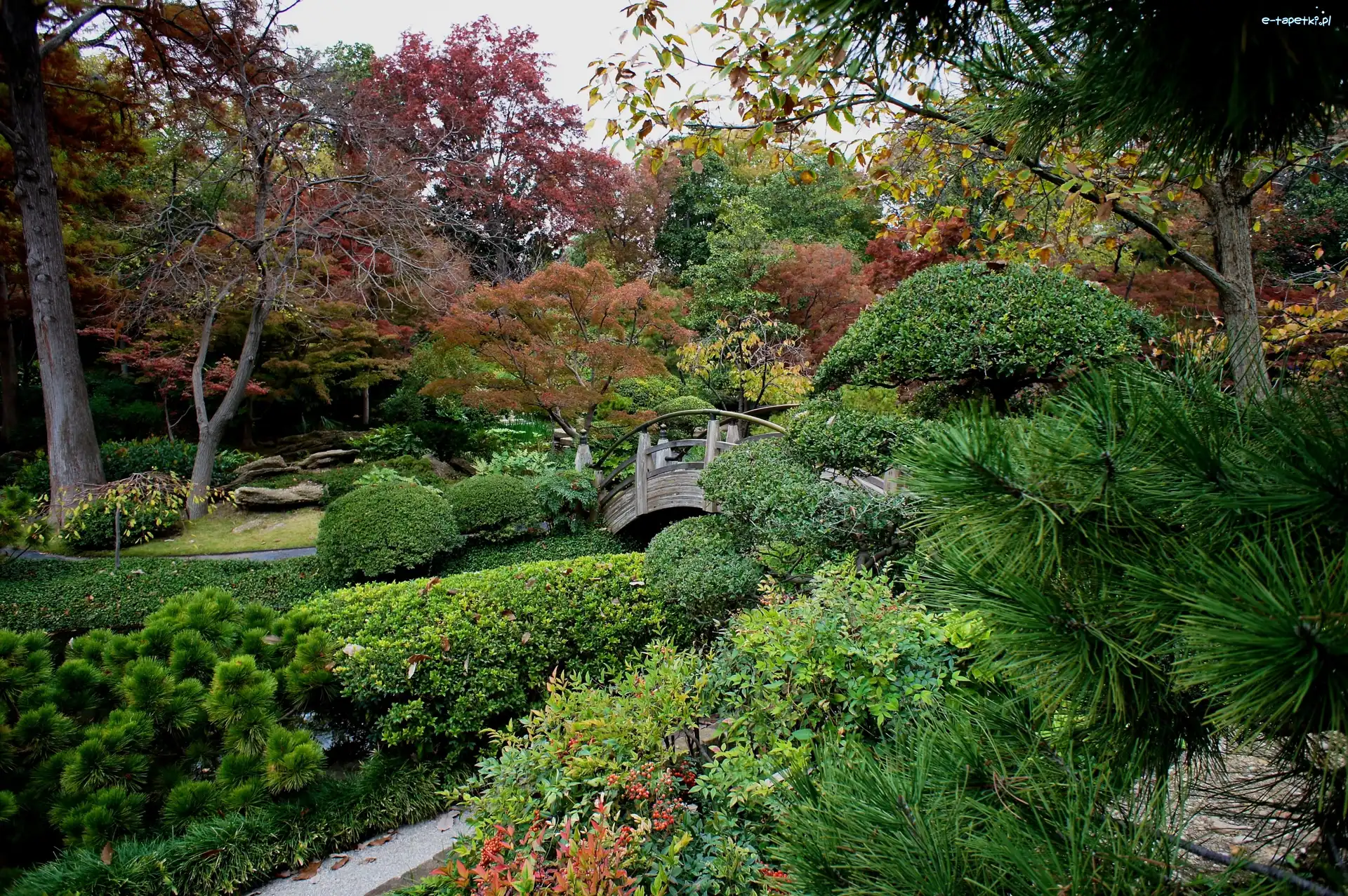 Park