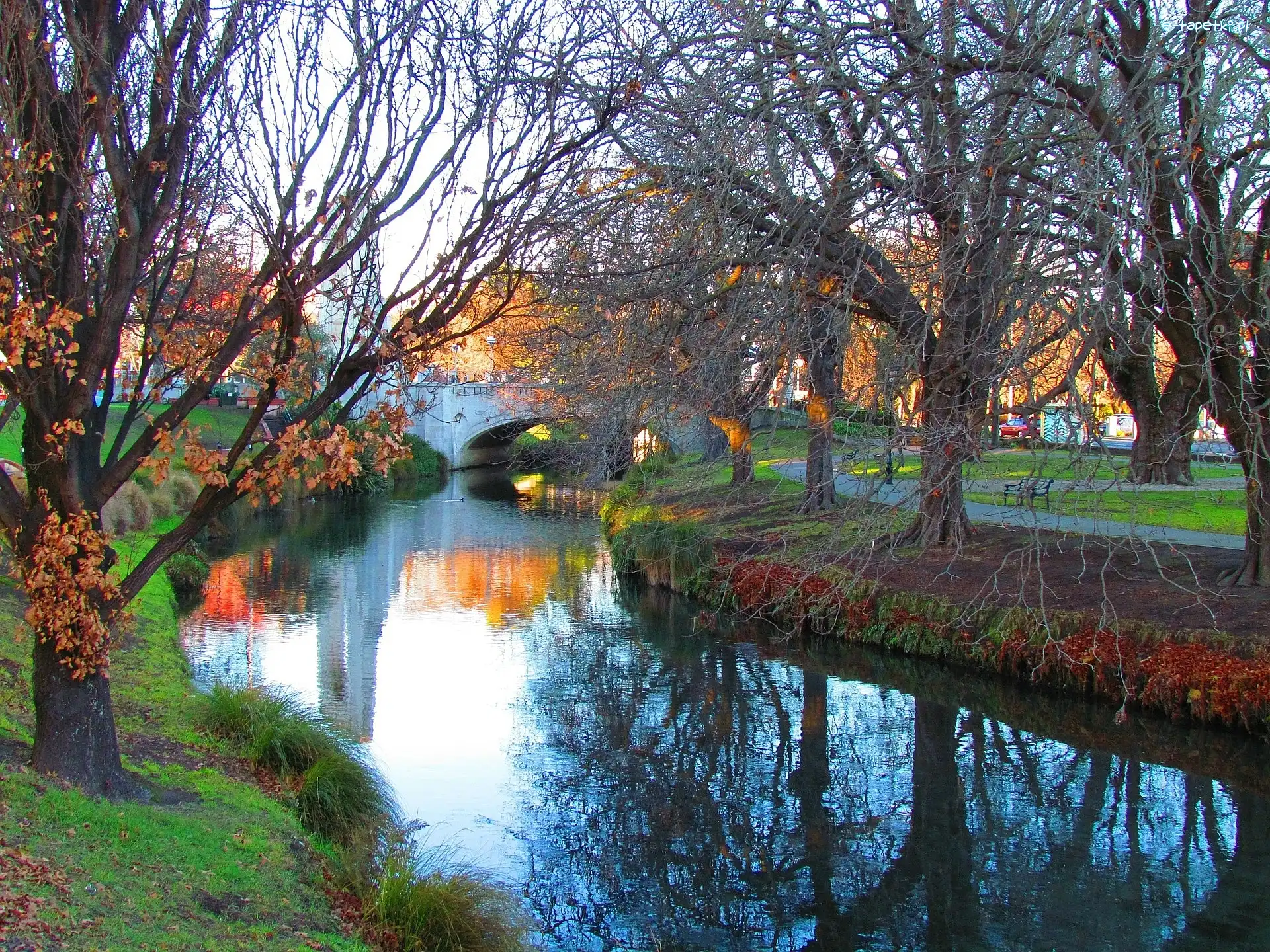 Rzeka, Mostek, Jesień, Park