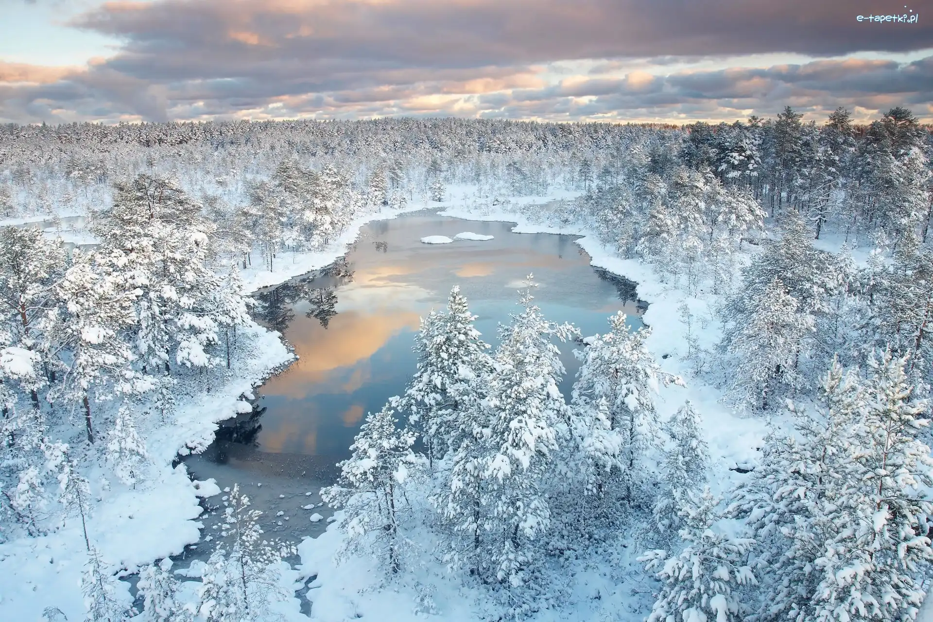 Jezioro, Las, Zima