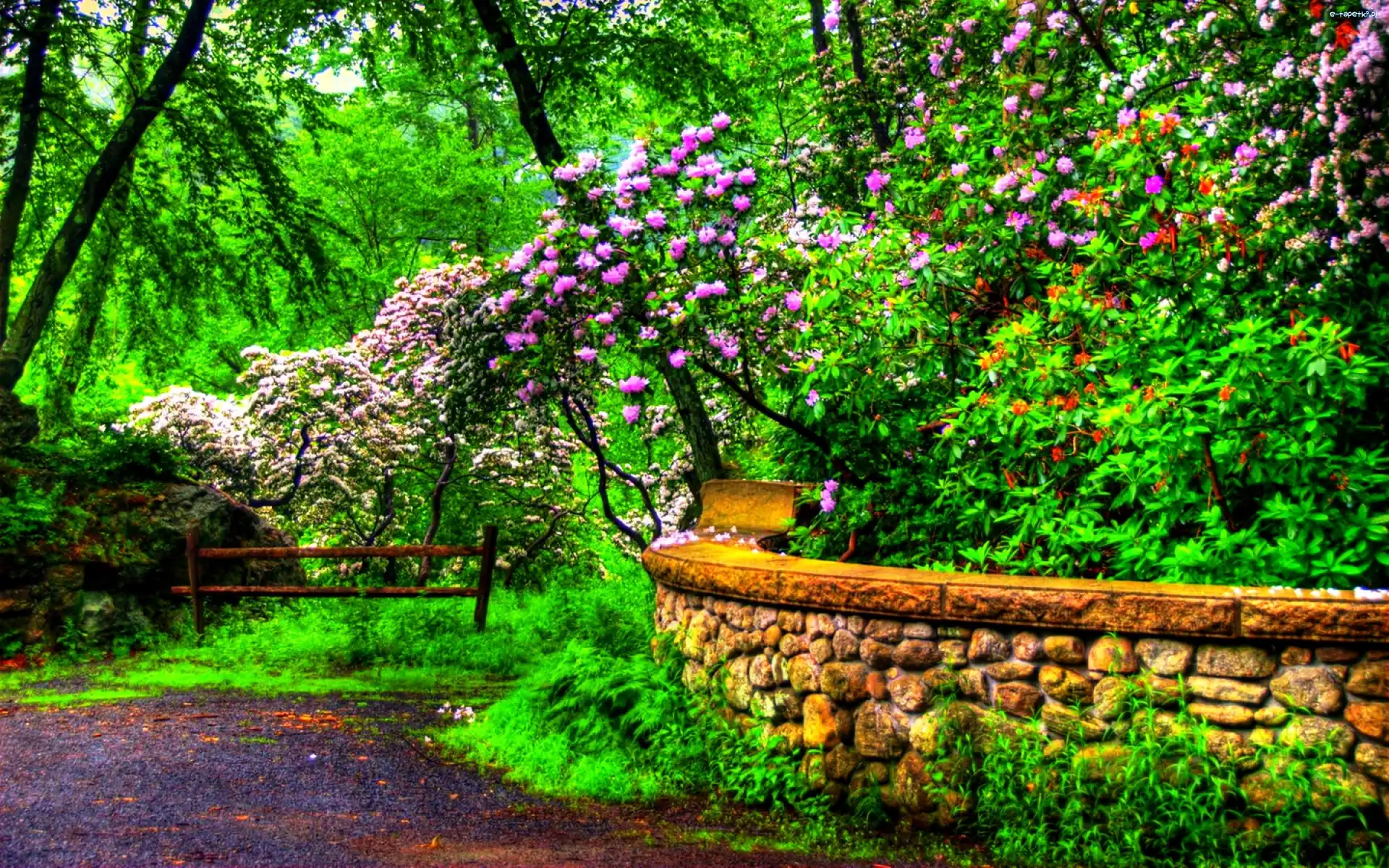 Park, Murek, Alejka, Krzewy, Drzewa