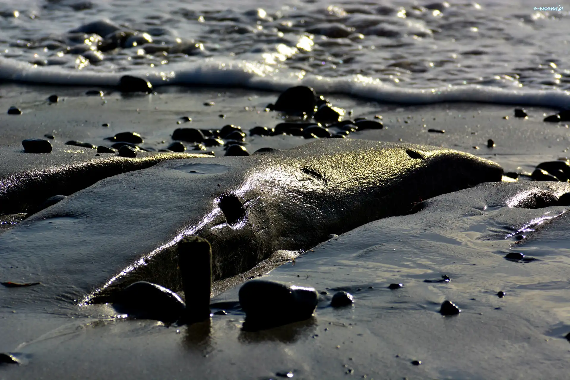 Woda, Kamienie, Drewno, Plaża
