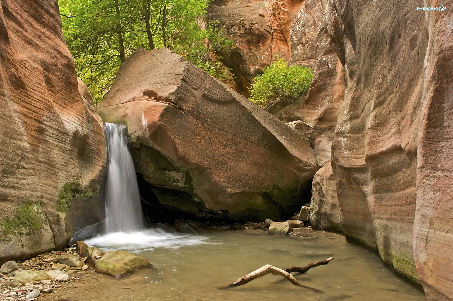 Wodospad, USA, Zion National Park Utah