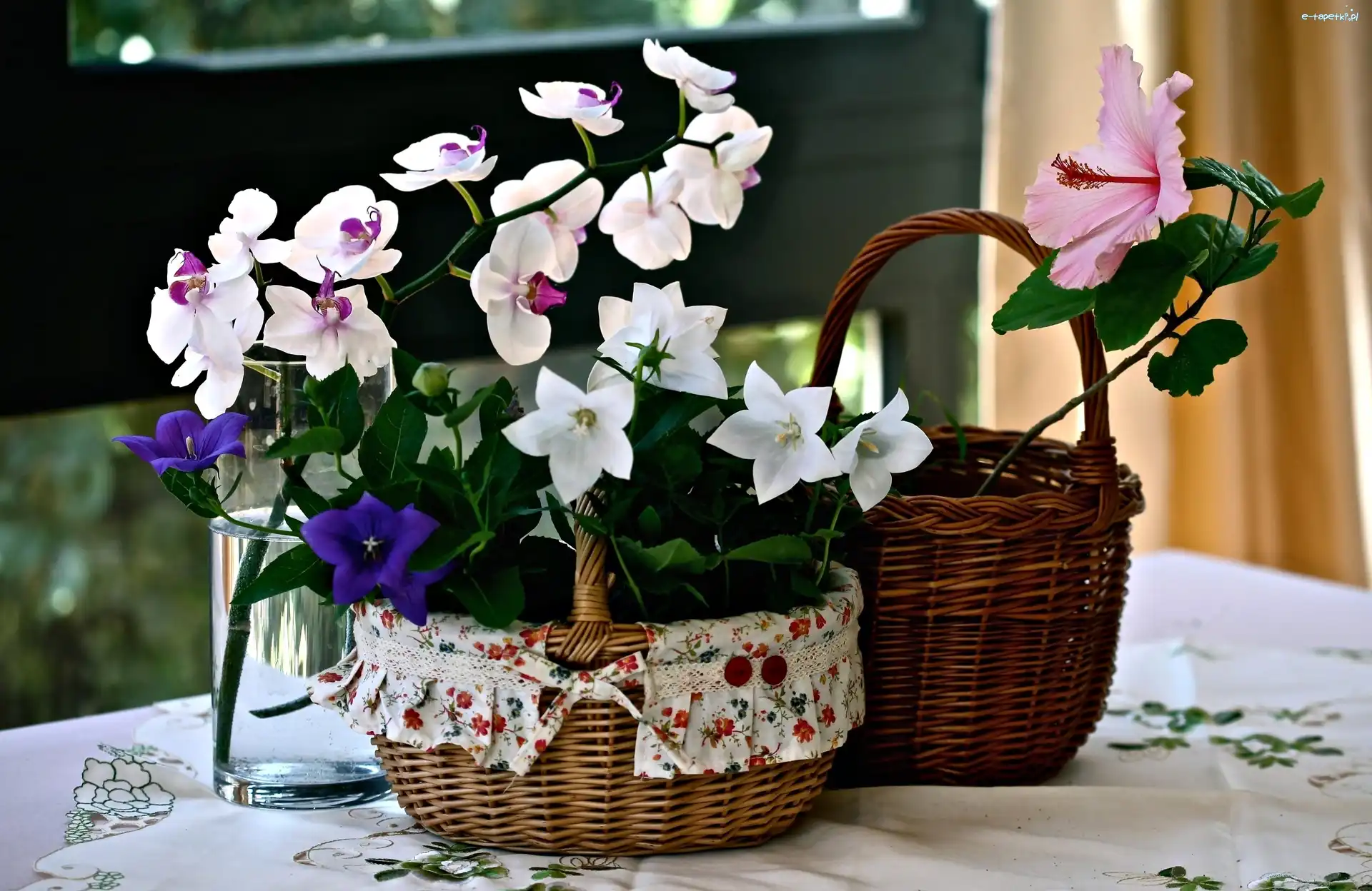 Hibiskus, Kwiaty, Dzwonki, Orchidea, Kosze, Kompozycja