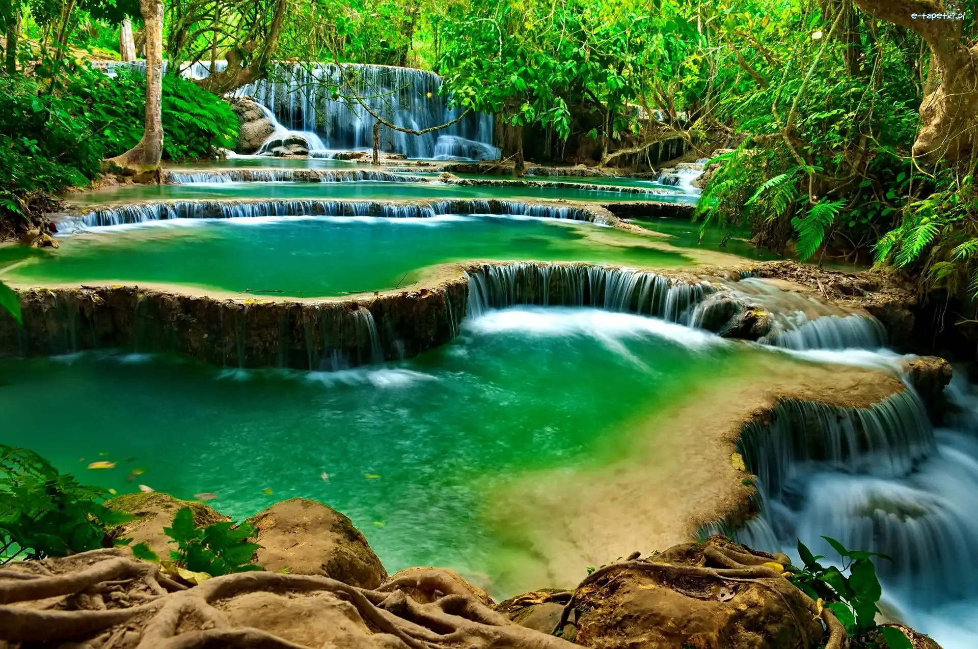 Kaskady, Prowincja Louangphrabang, Zieleń, Las, Wodospad Kuang Si, Naturalne baseny, Drzewa, Laos