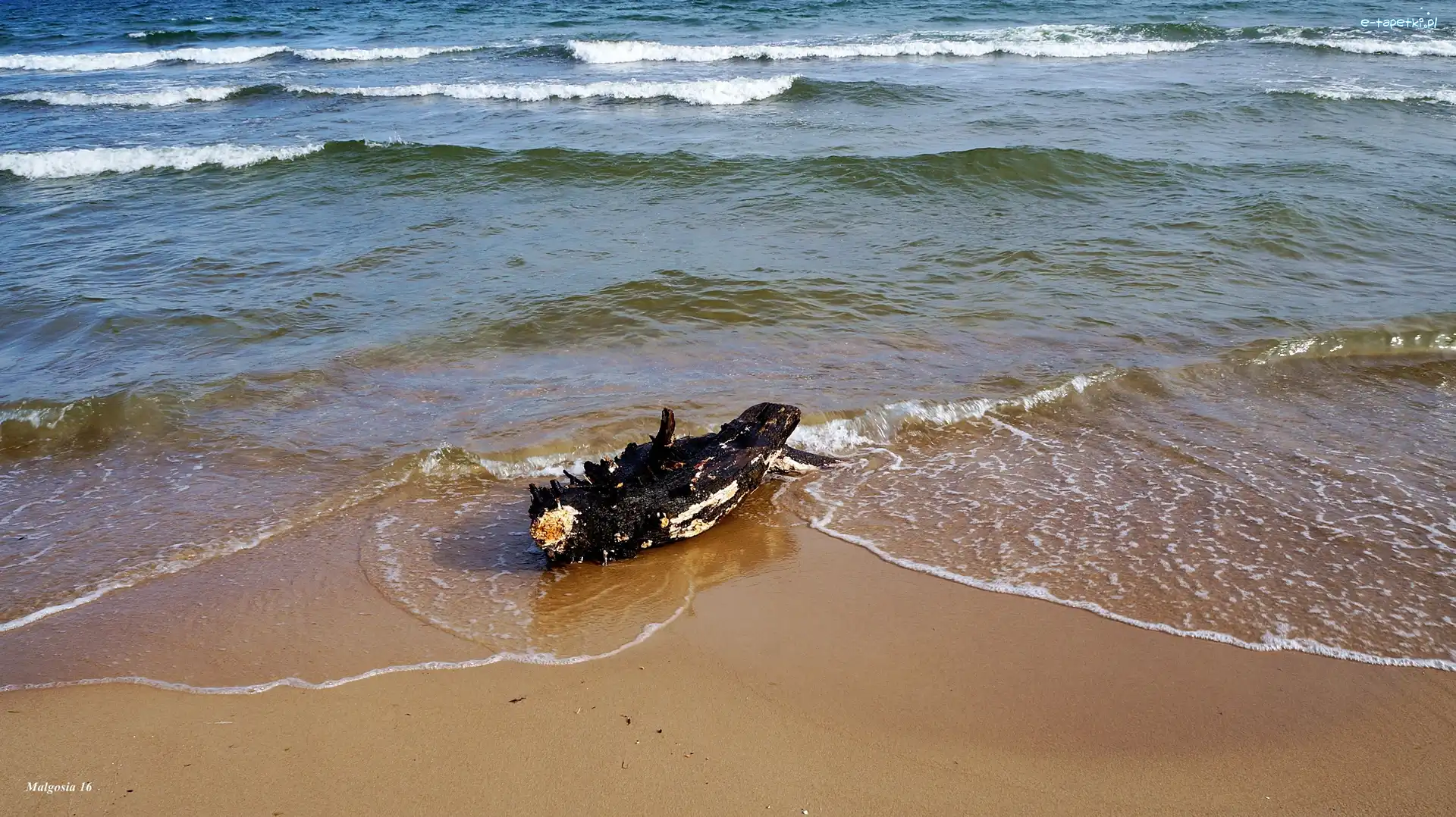 Morze, Fale, Bałtyk, Kłoda, Plaża