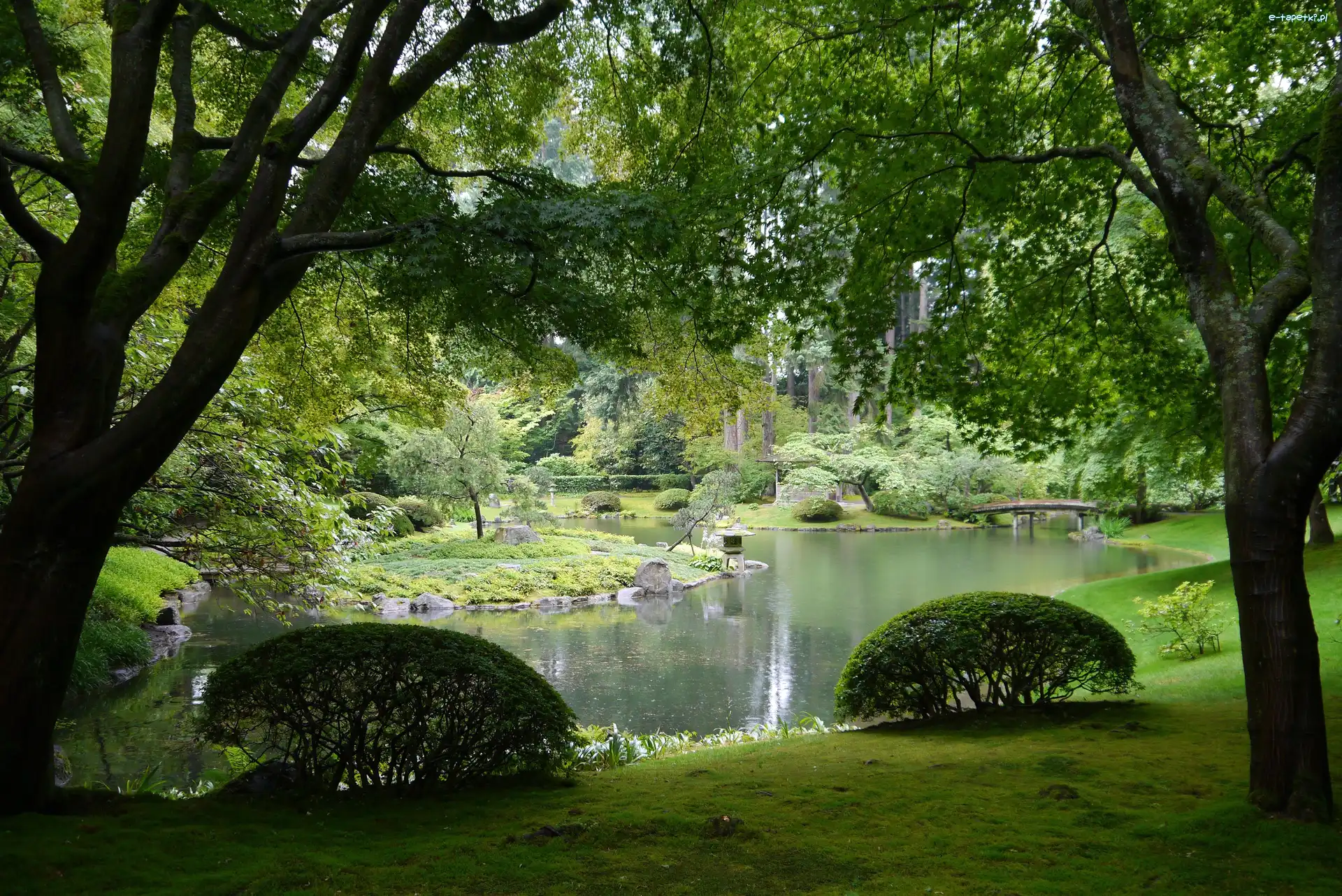 Staw, Park