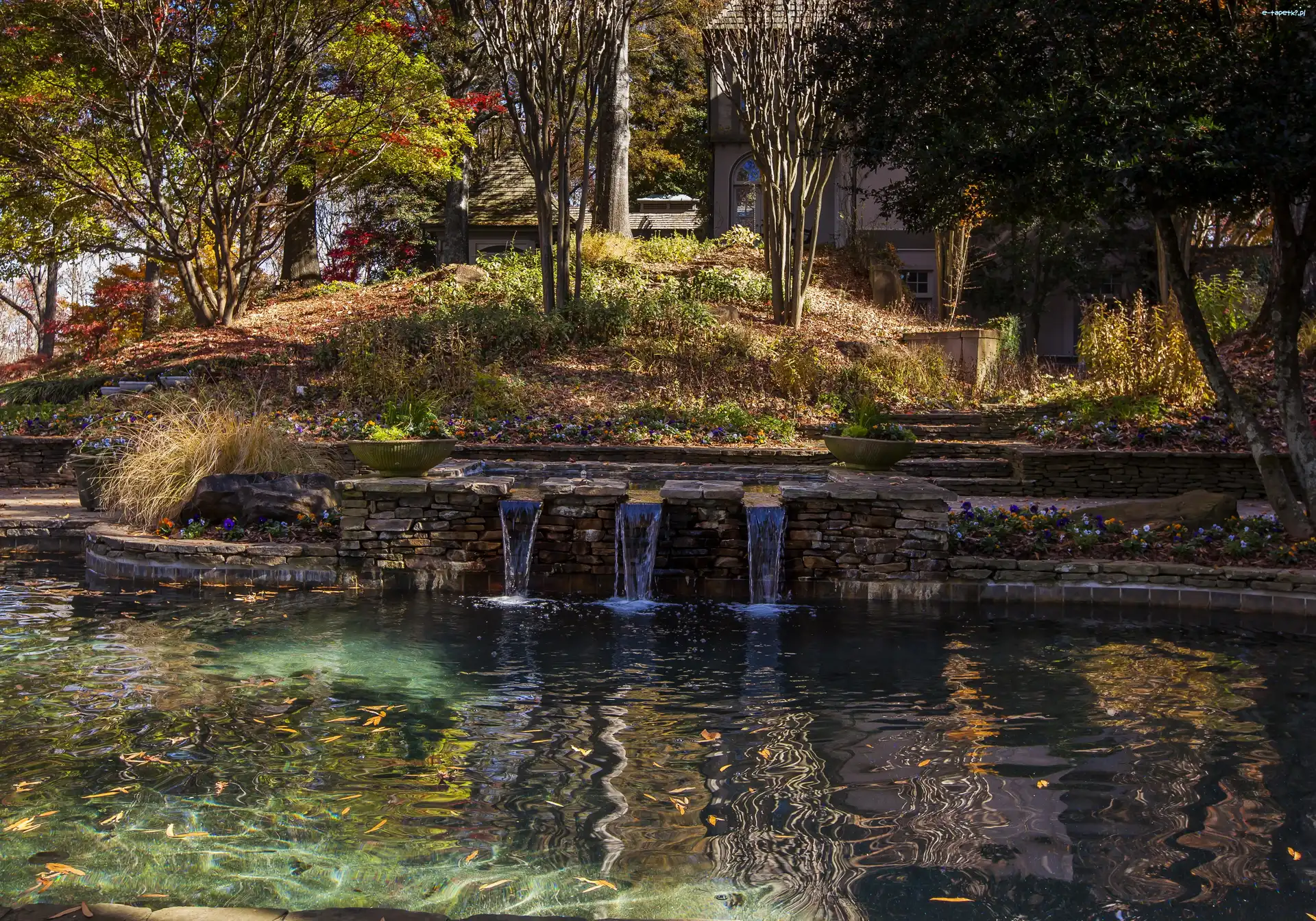 Park
