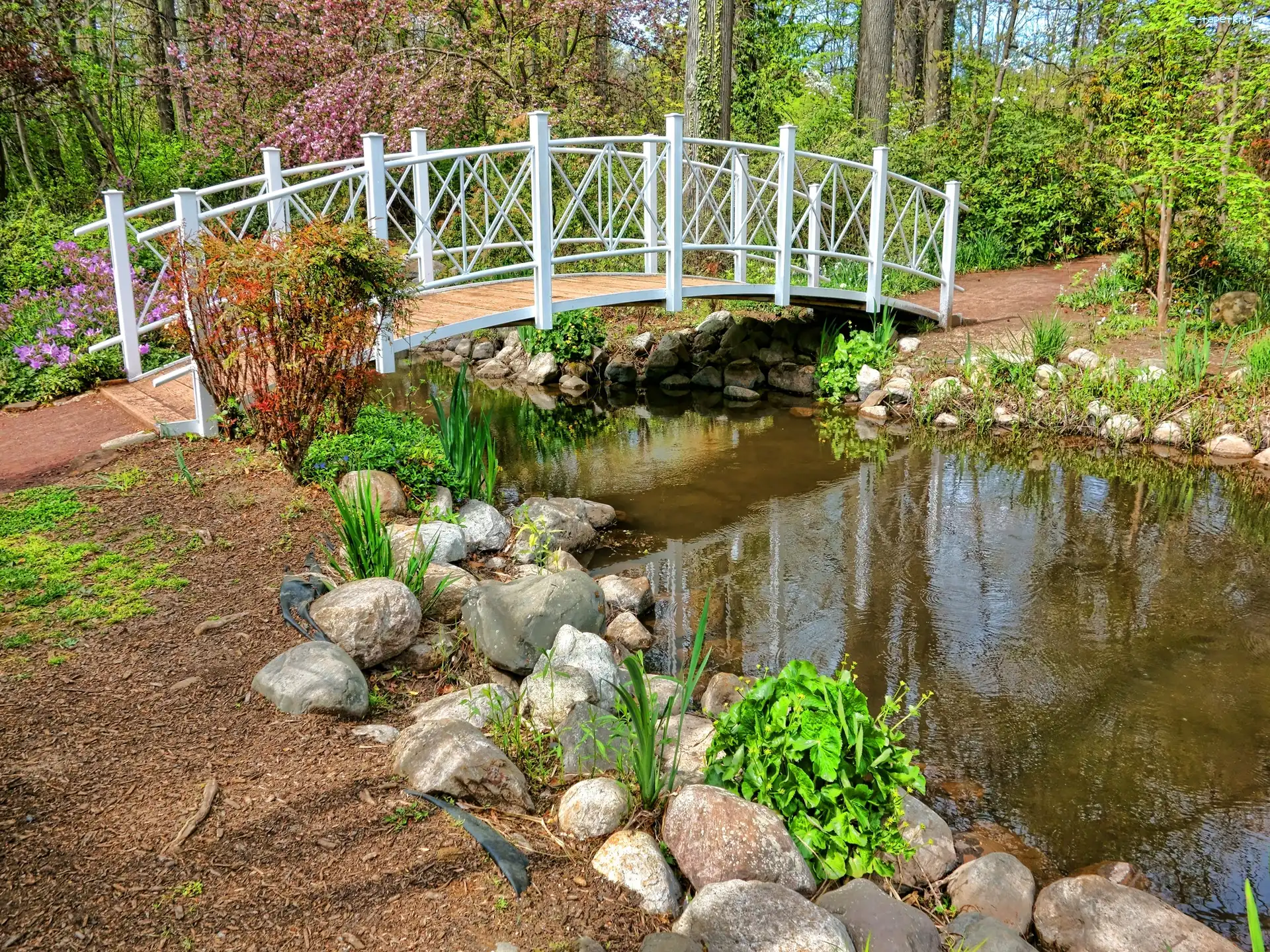 Mostek, Park