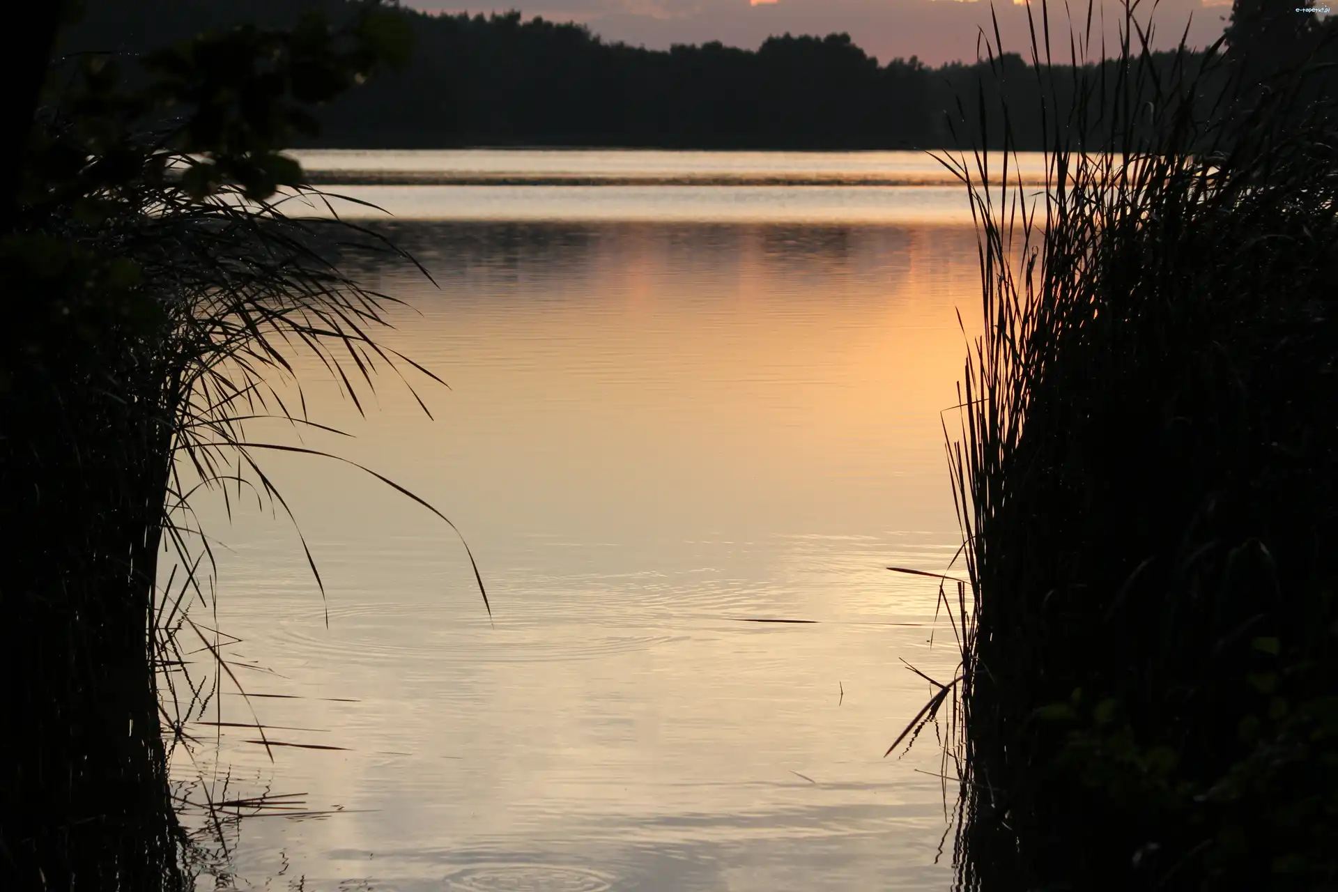 Jezioro