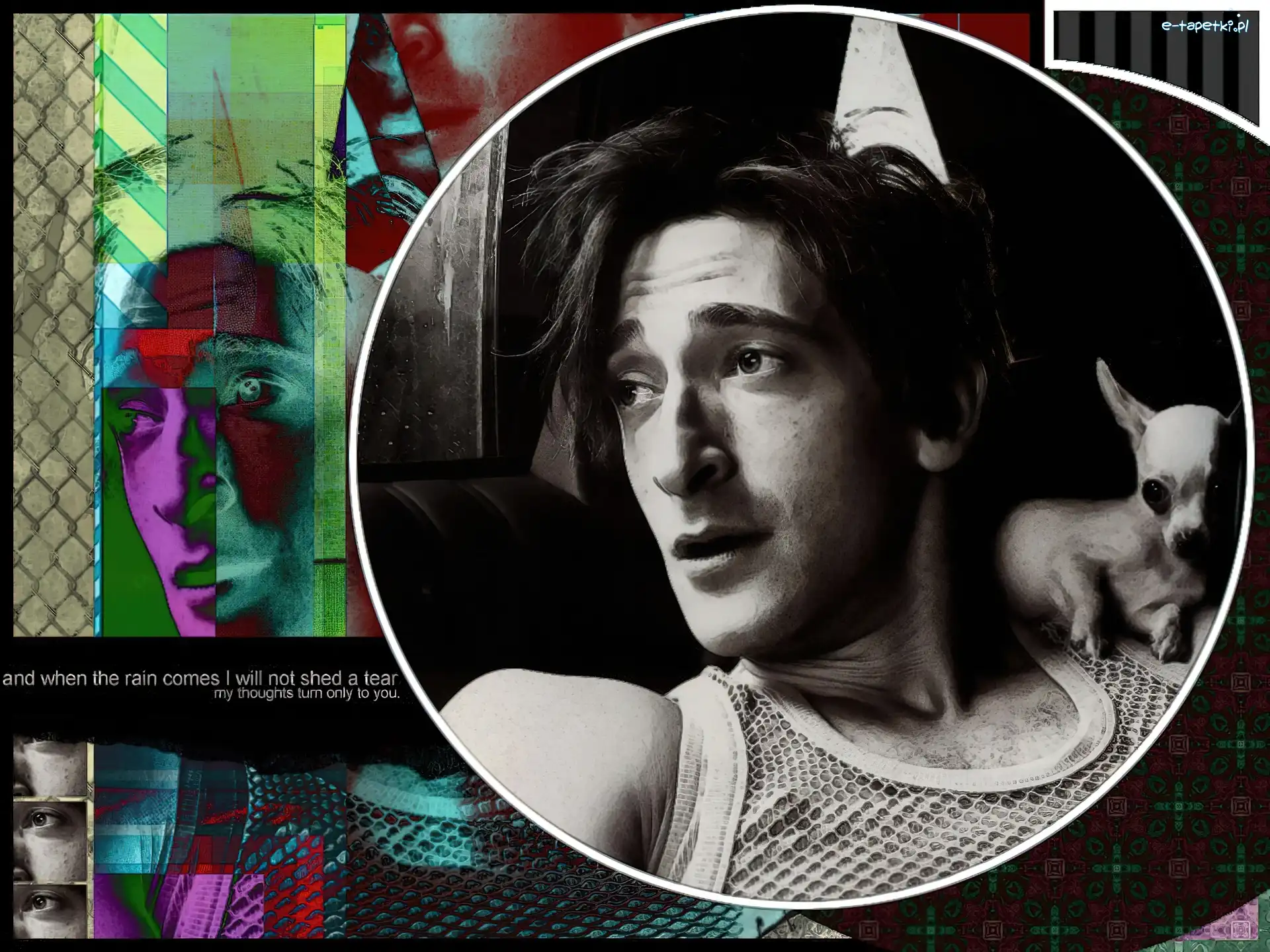 piesek, głowa, Adrien Brody