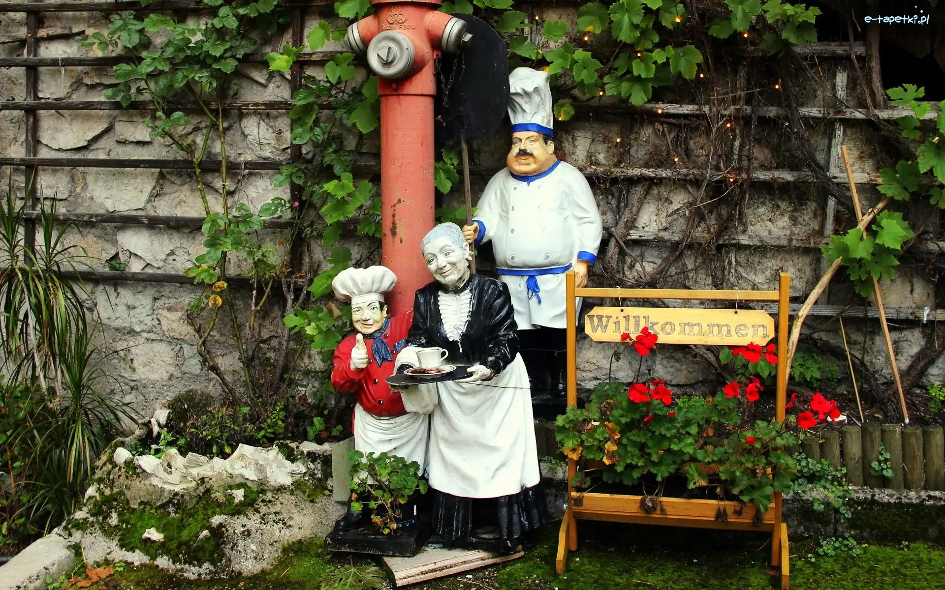 Pelargonie, Gospodyni, Kwiaty, Ogródek, Kucharz, Figury