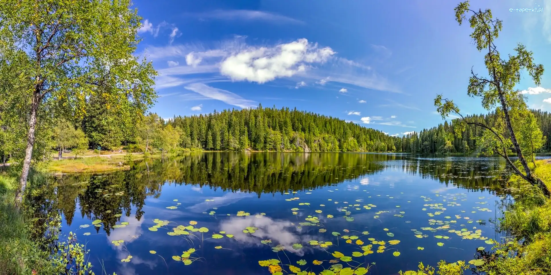 Norwegia, Las, Jezioro