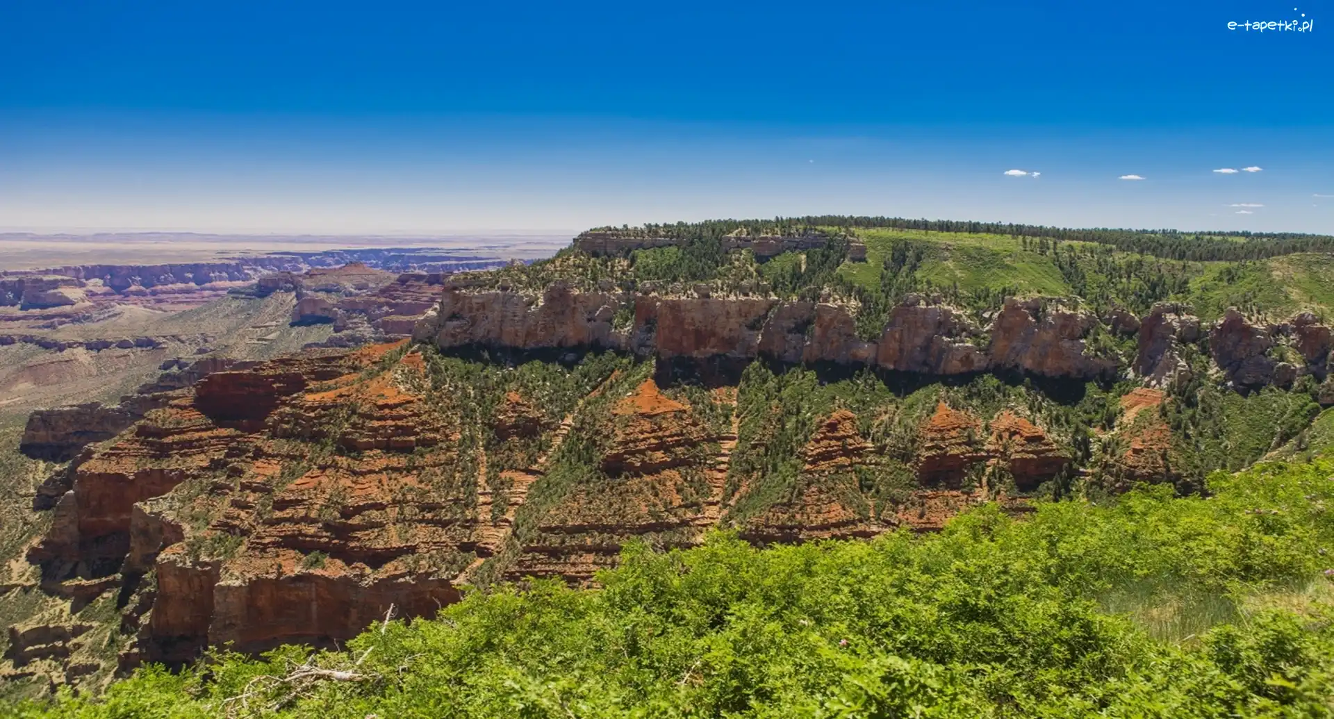Kanion, USA, Arizona, Park