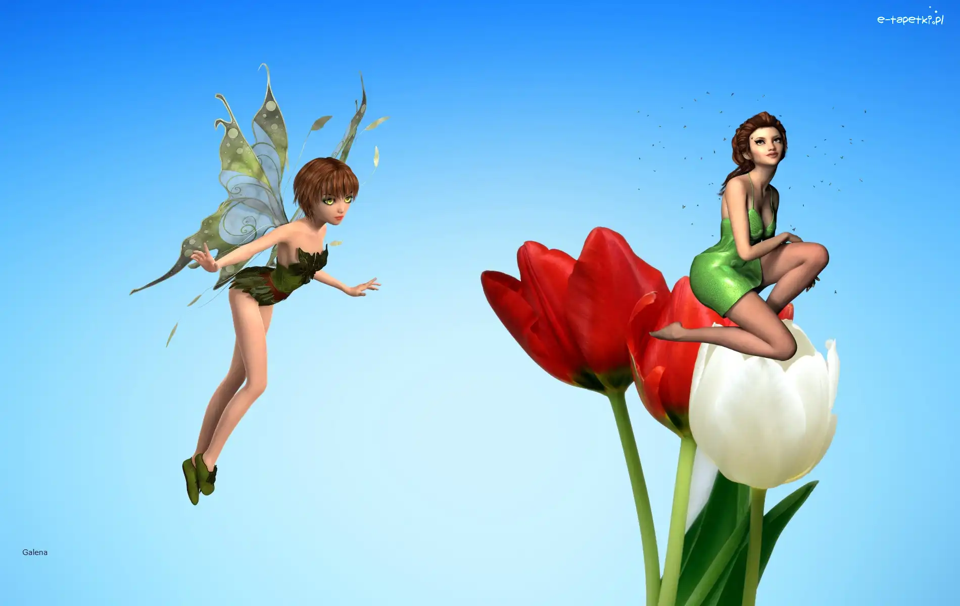 Grafika, Tulipany, Wróżki