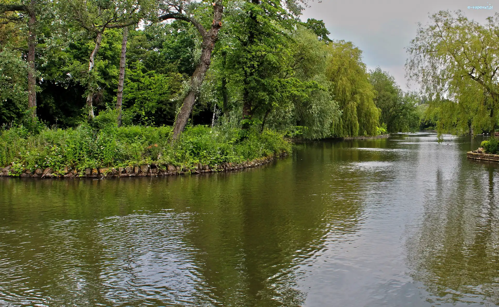Rzeka, Park