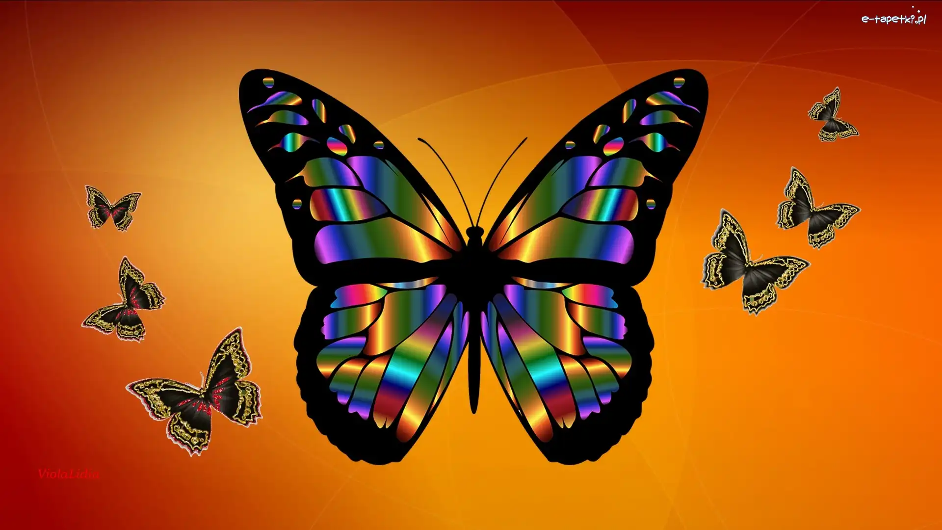 Motyle, Motyl, Grafika