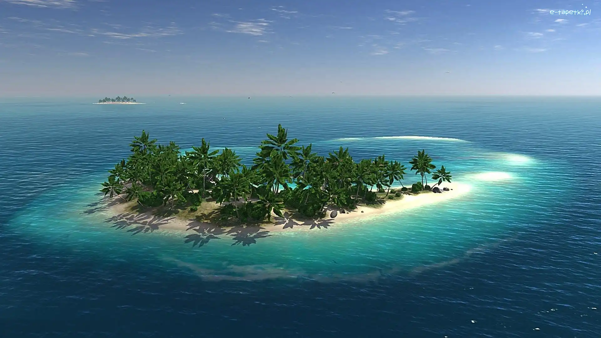Ocean, Drzewa, Wysepki