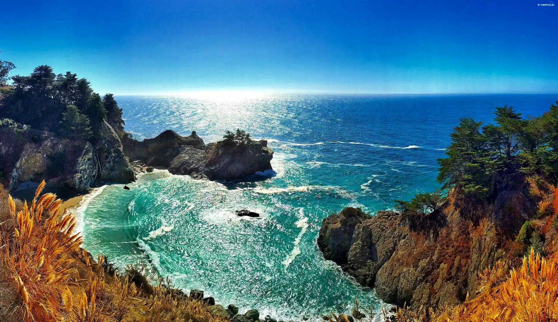 Drzewa, Kalifornii, Skały, Świt, Wybrzeże, Big Sur