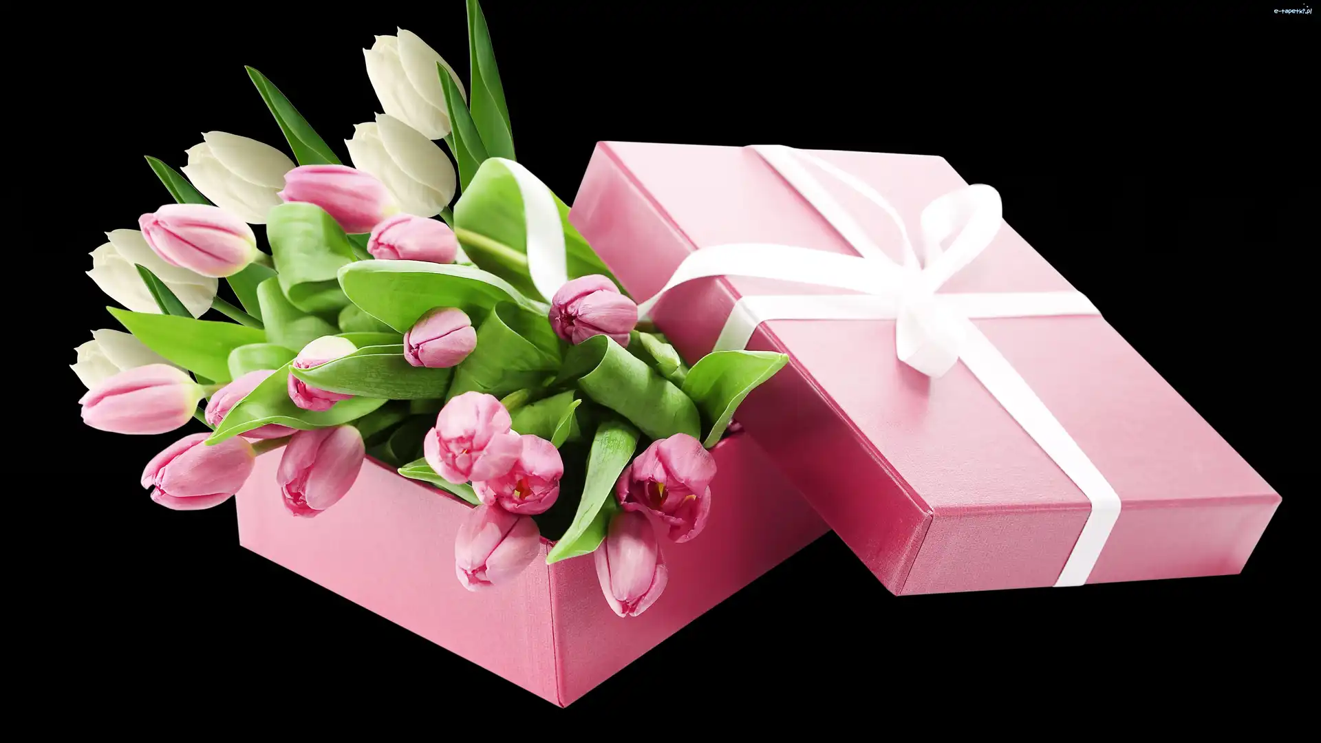 Tulipany, Kwiaty
