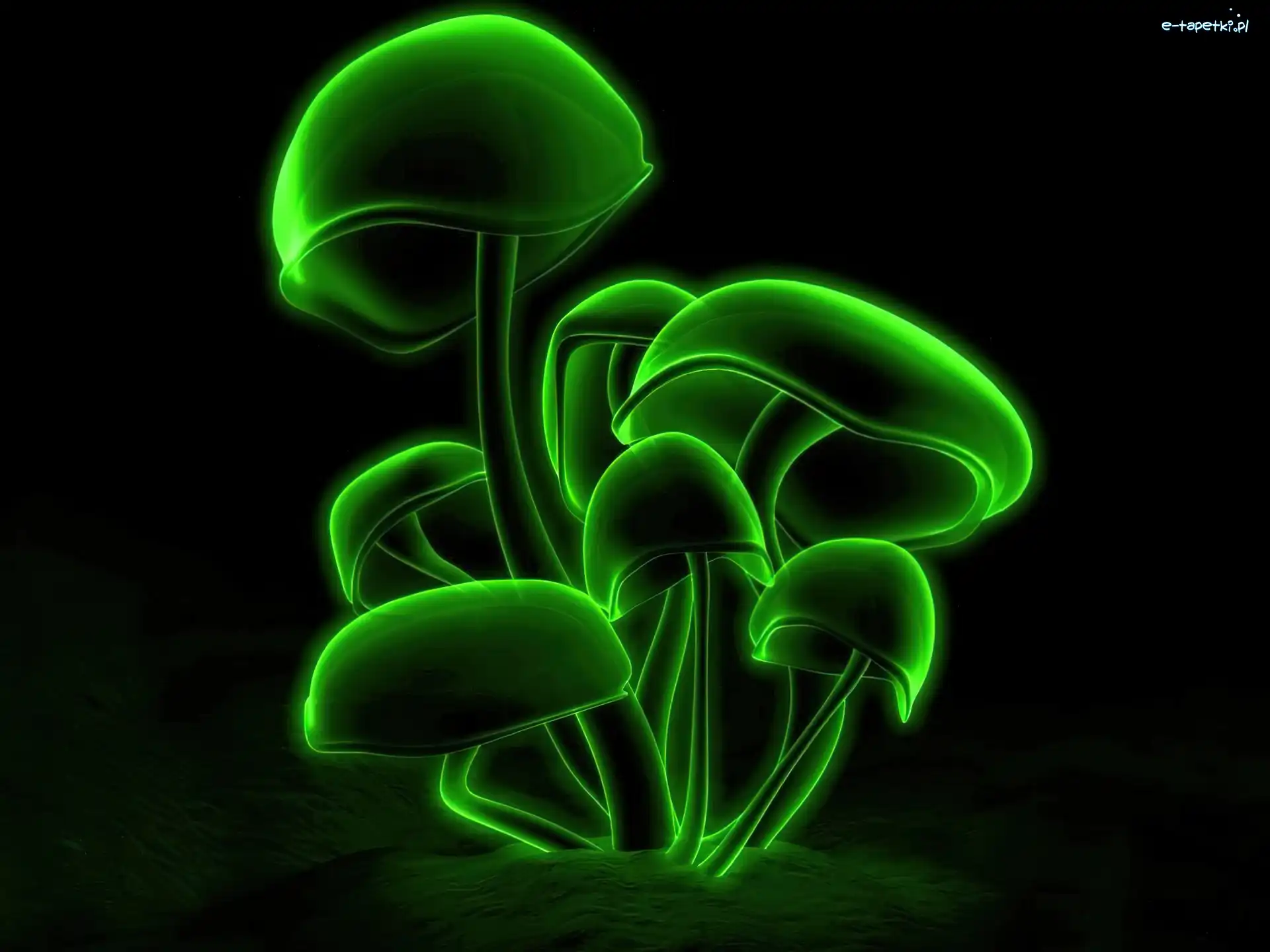 Wektorowa, grzyby, zielone, 3D