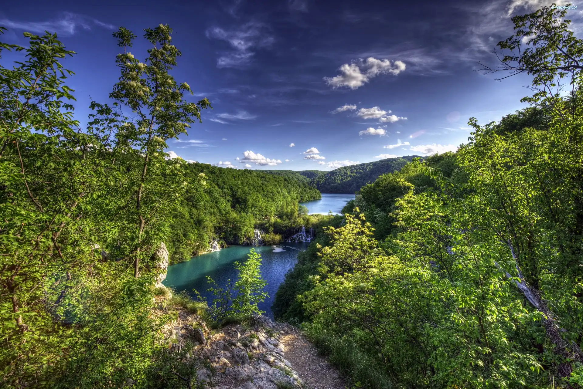 Jeziorka, Lasy, Góry