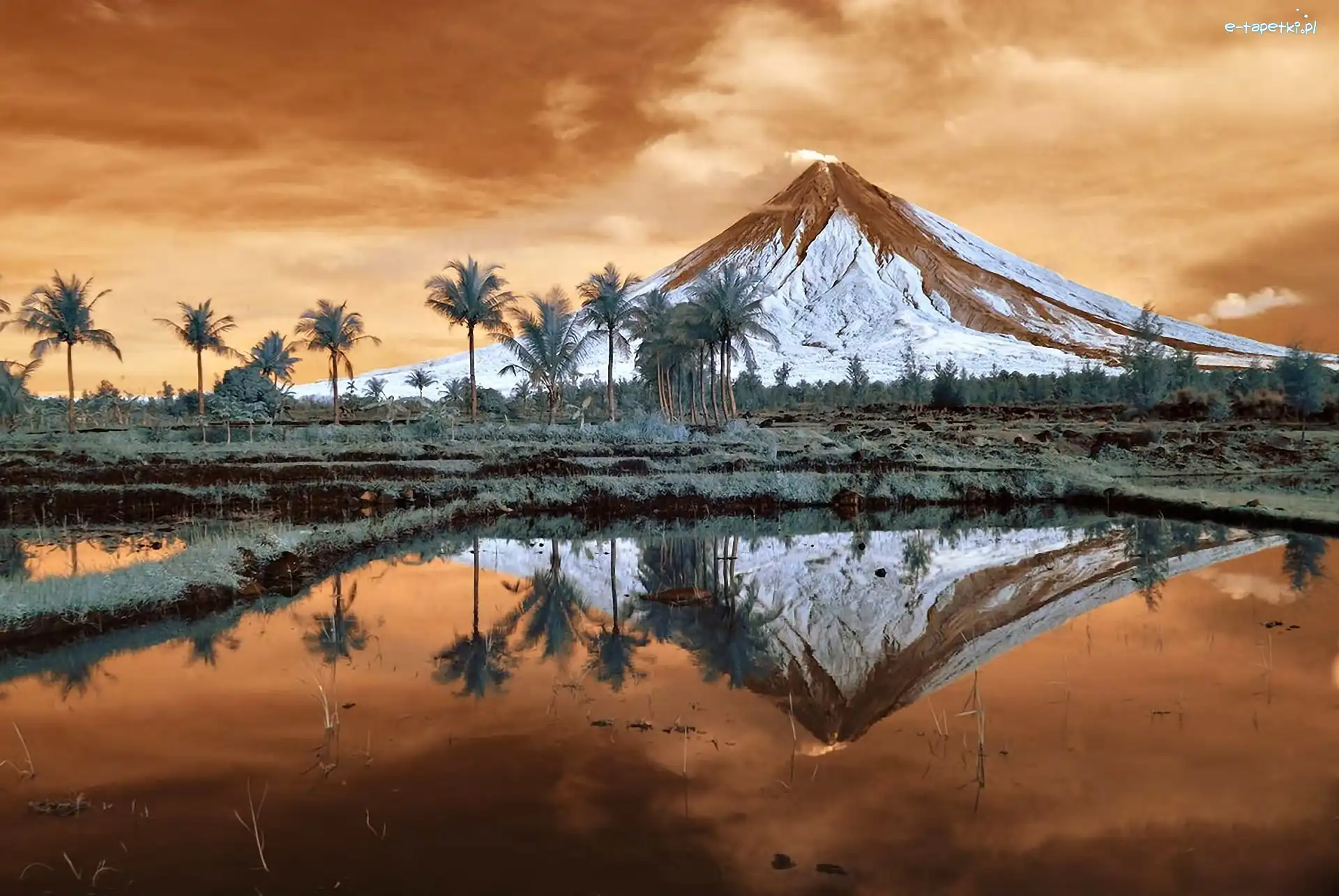 Odbicie, Wulkan, Mayon, Wyspa, Filipiny, Morze, Drzewa