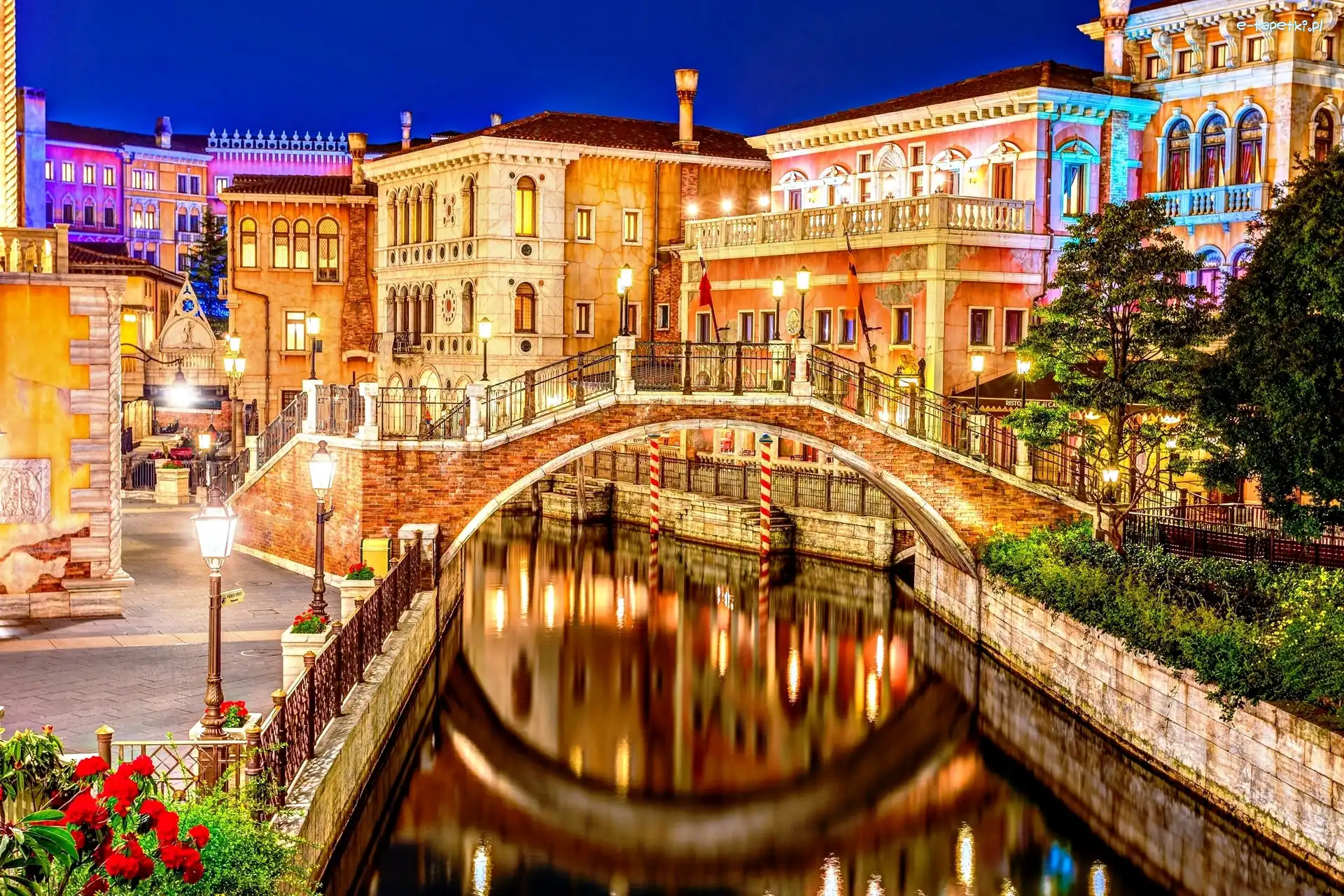 Tokio, Disneyland, Most