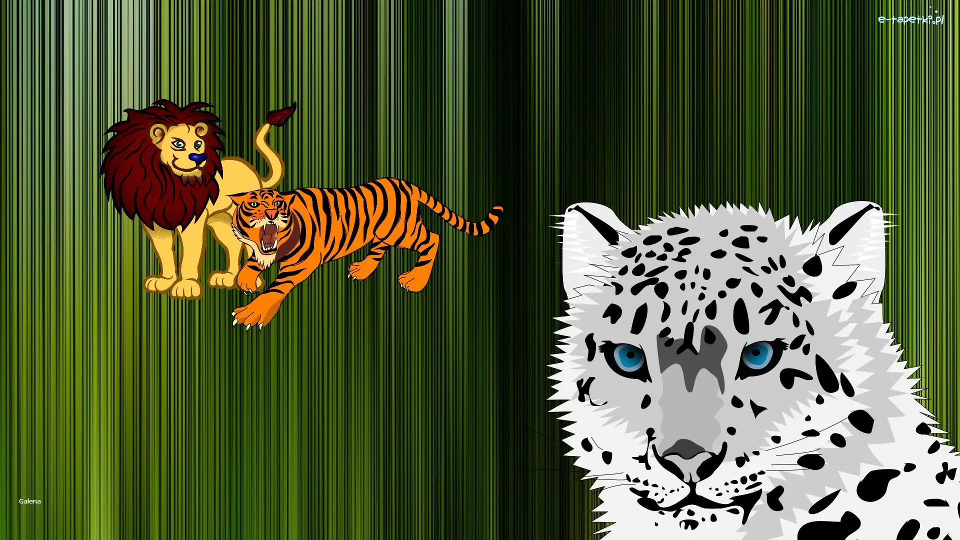Tygrys, Grafika, Lampart, Lew