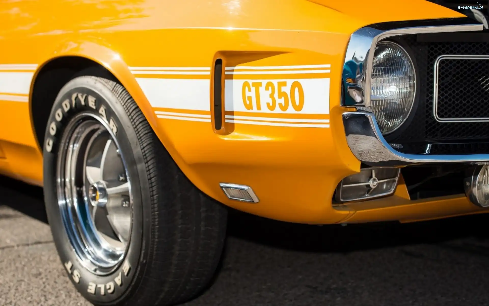 1969, Ford