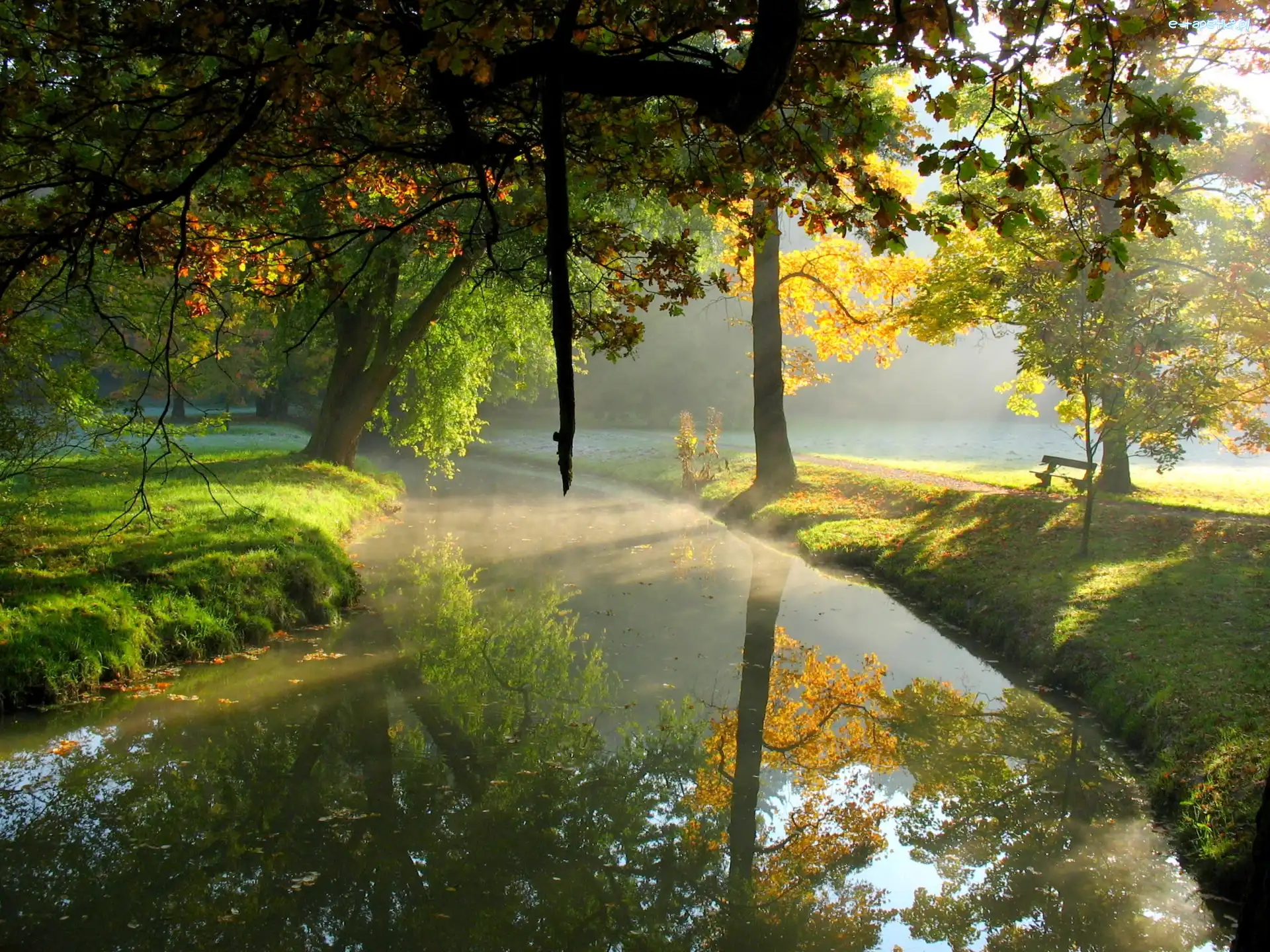 Park, Rzeka, Drzewa