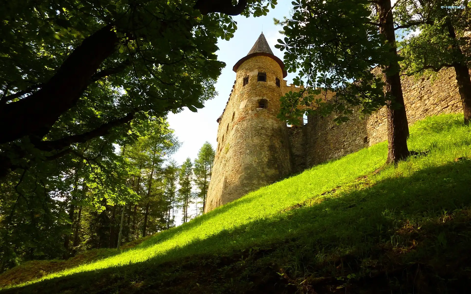 Drzewa, Wzgórze, Zamek