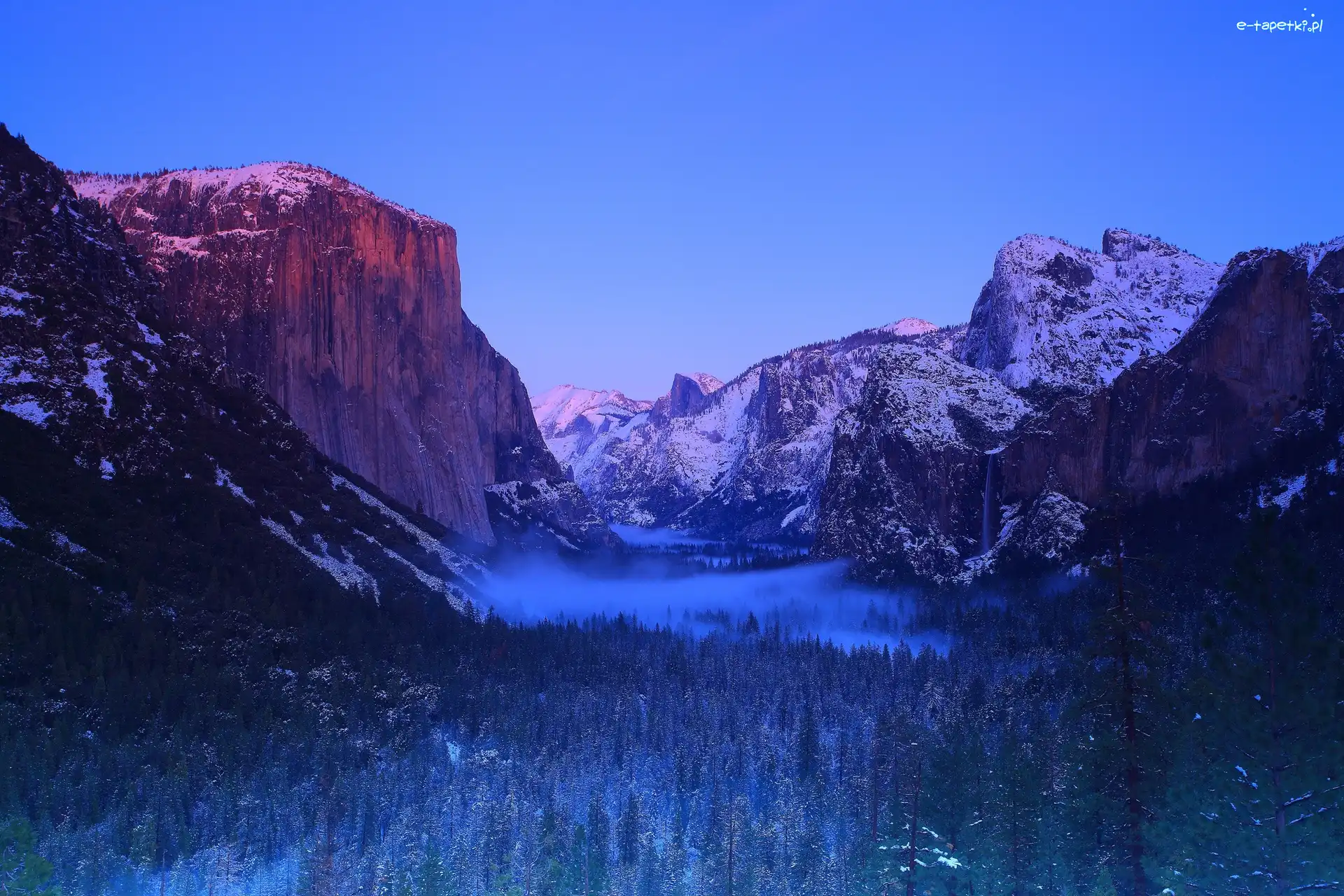 Zima, Park Narodowy Yosemite, Góry, Stan Kalifornia, Stany Zjednoczone, Mgła, Las