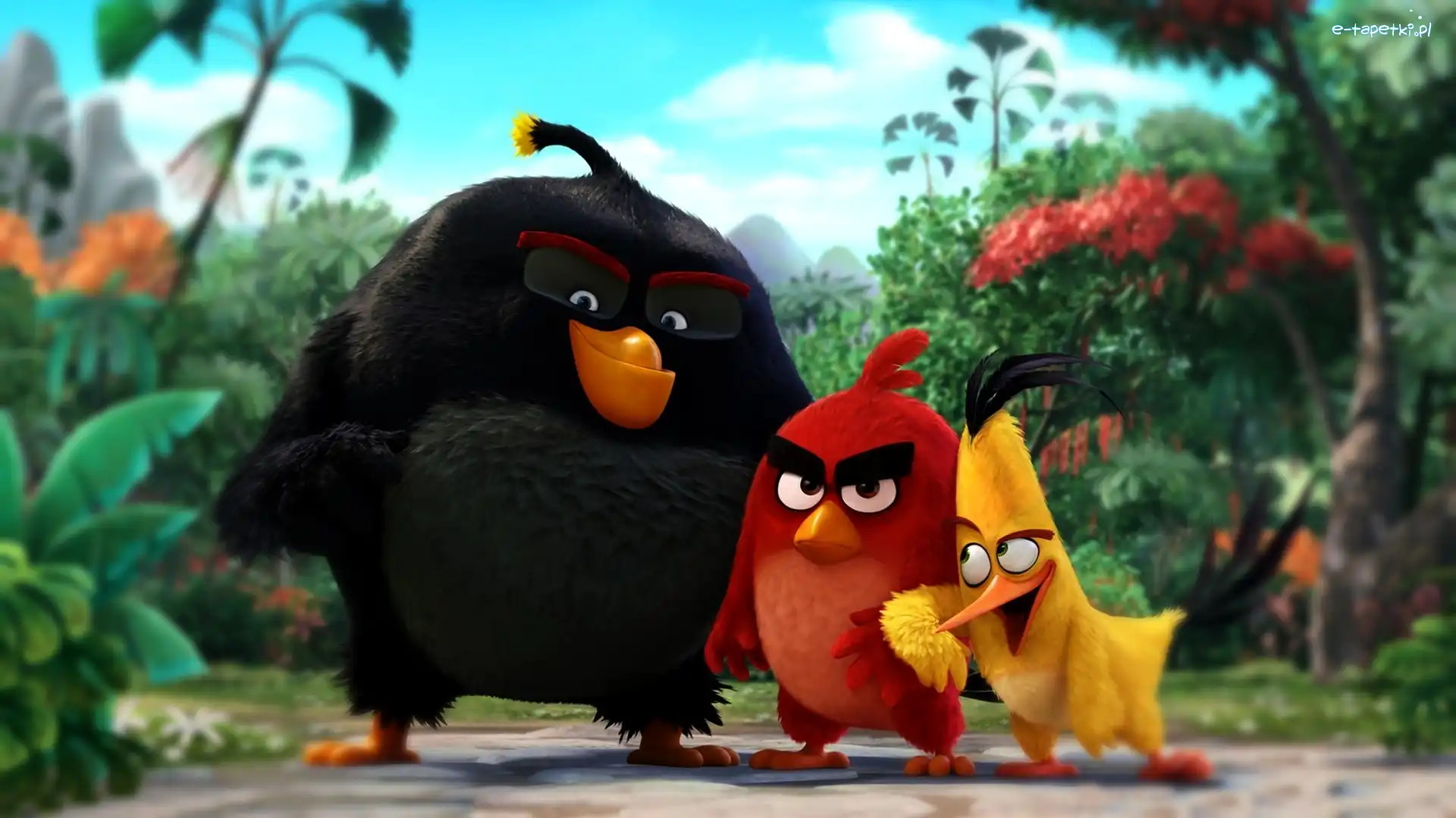 Film, The Angry Birds Movie, Angry Birds