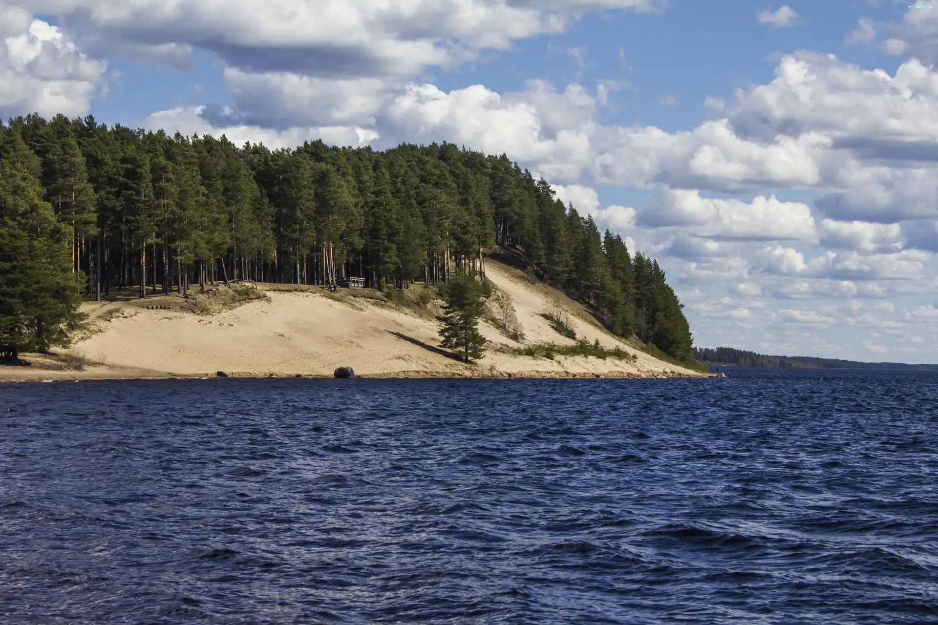 Las, Brzeg, Jezioro