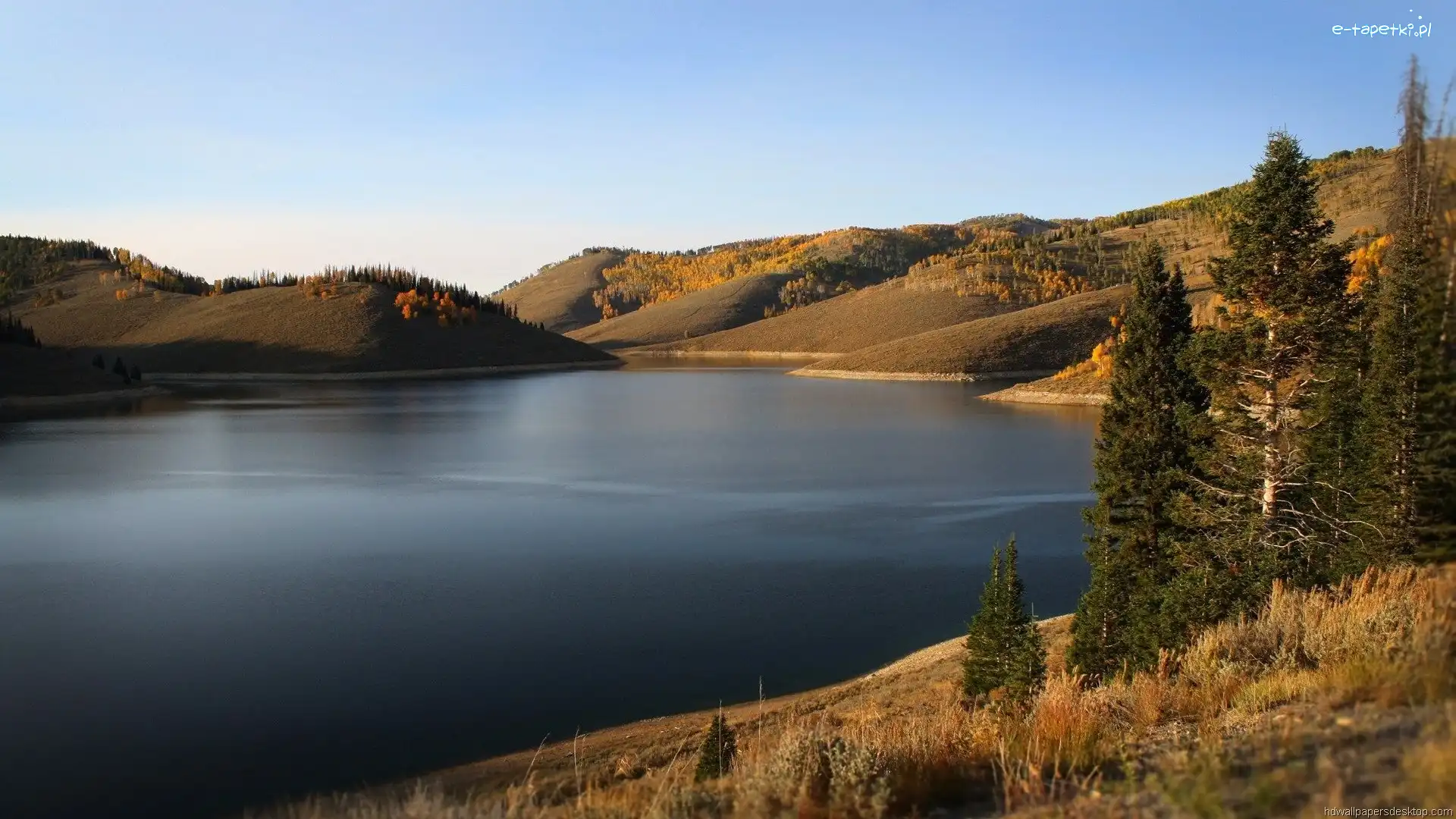 Drzewa, Wzgórza, Jezioro